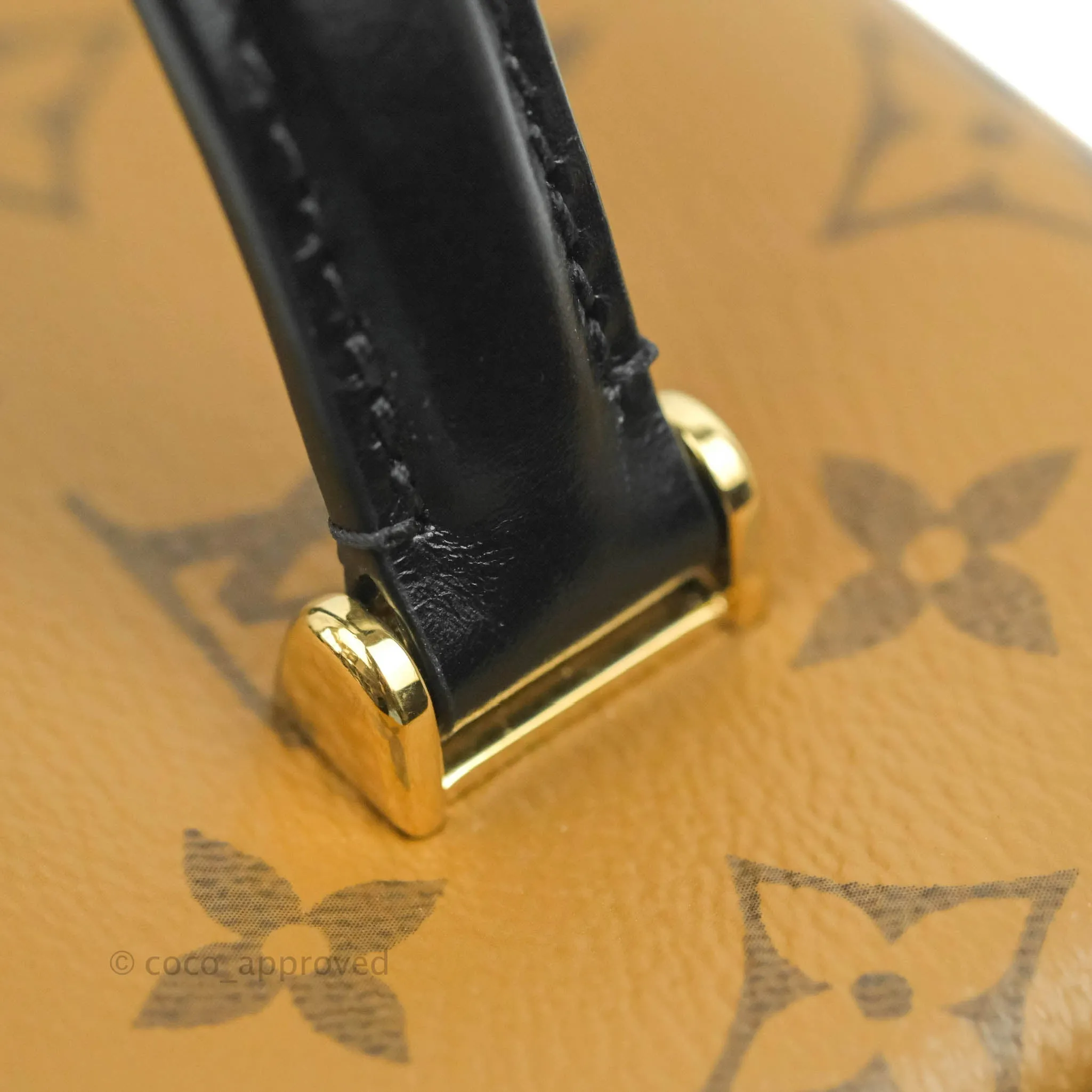 Louis Vuitton Reverse Monogram Vanity PM