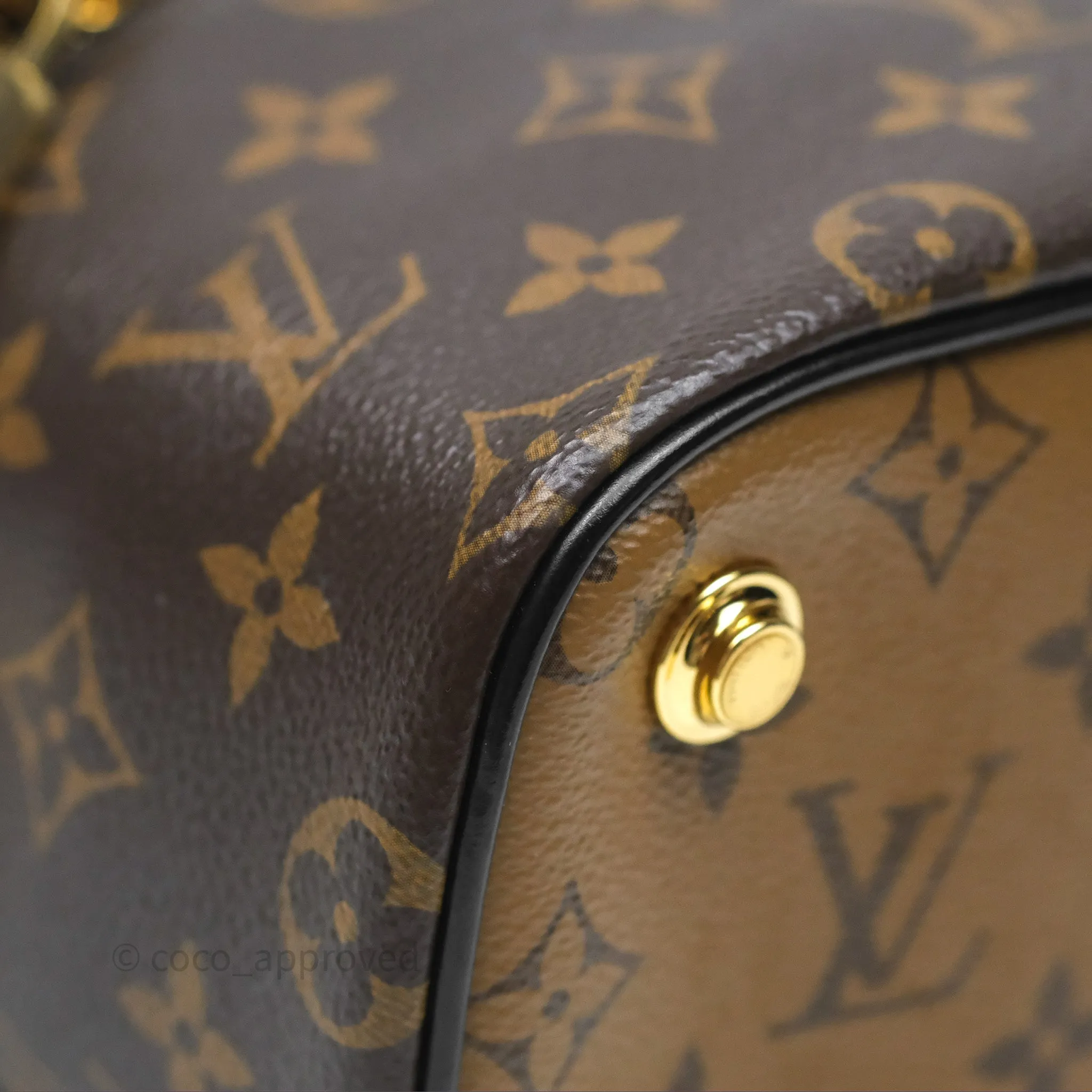 Louis Vuitton Reverse Monogram Vanity PM