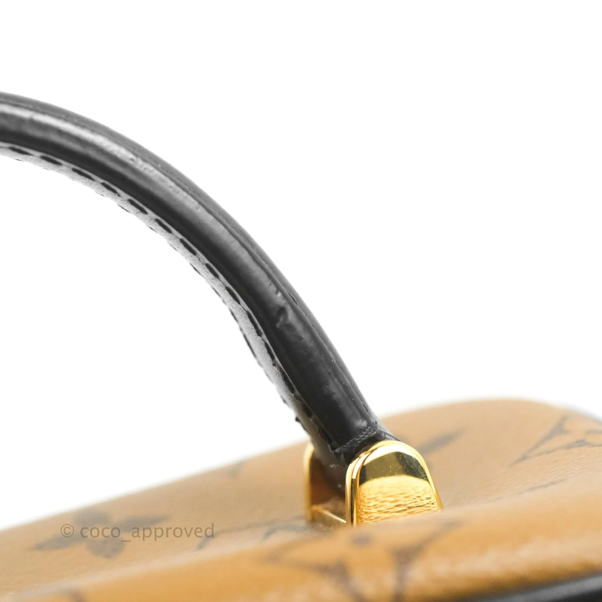 Louis Vuitton Reverse Monogram Vanity PM