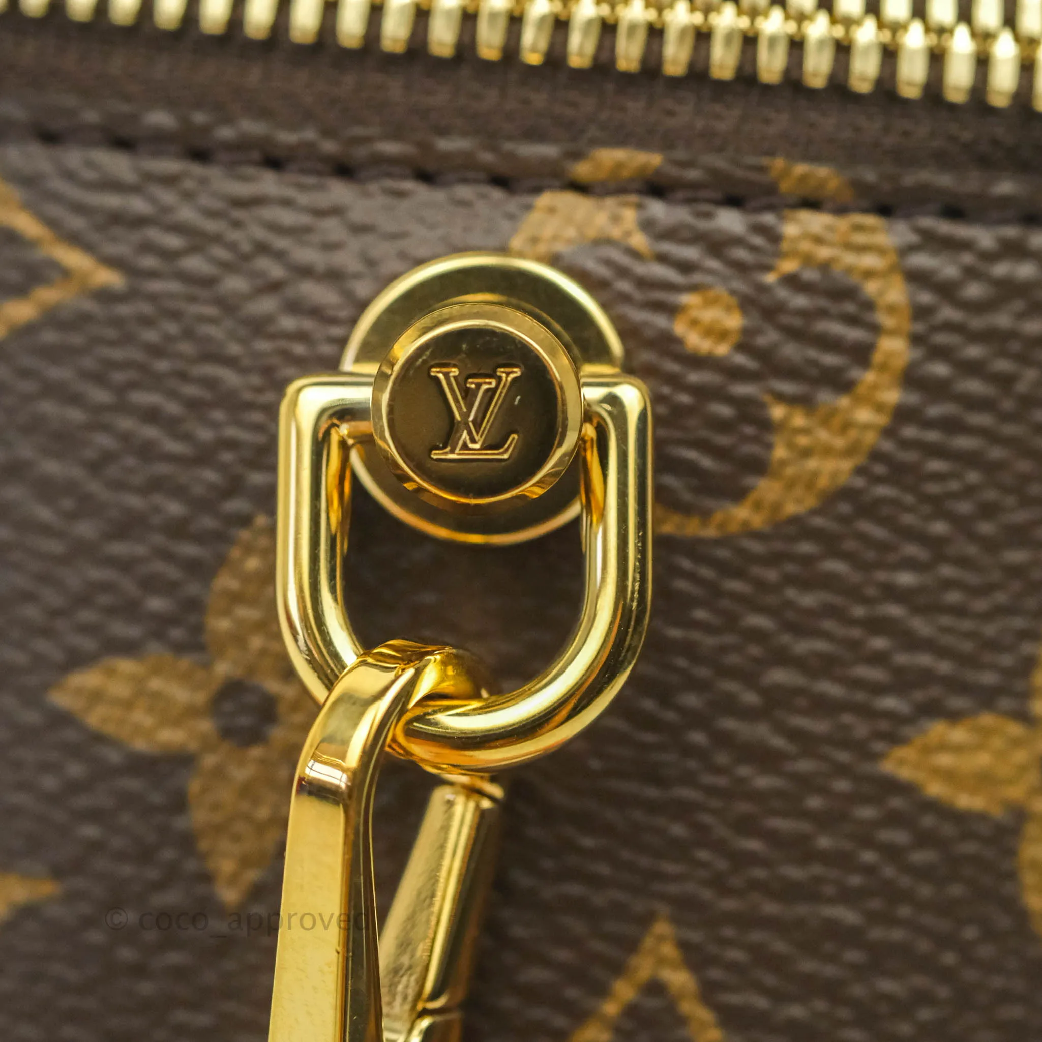 Louis Vuitton Reverse Monogram Vanity PM