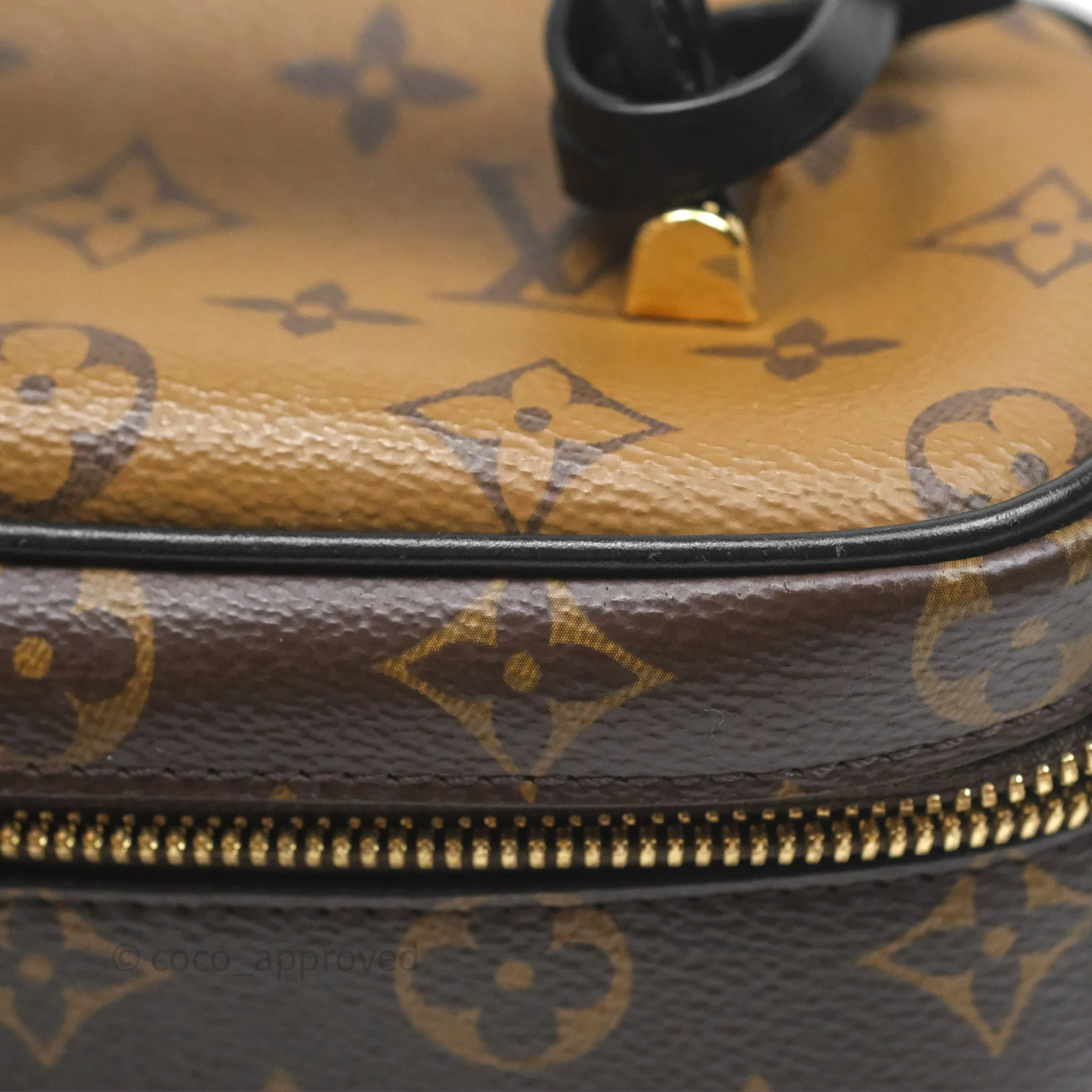 Louis Vuitton Reverse Monogram Vanity PM