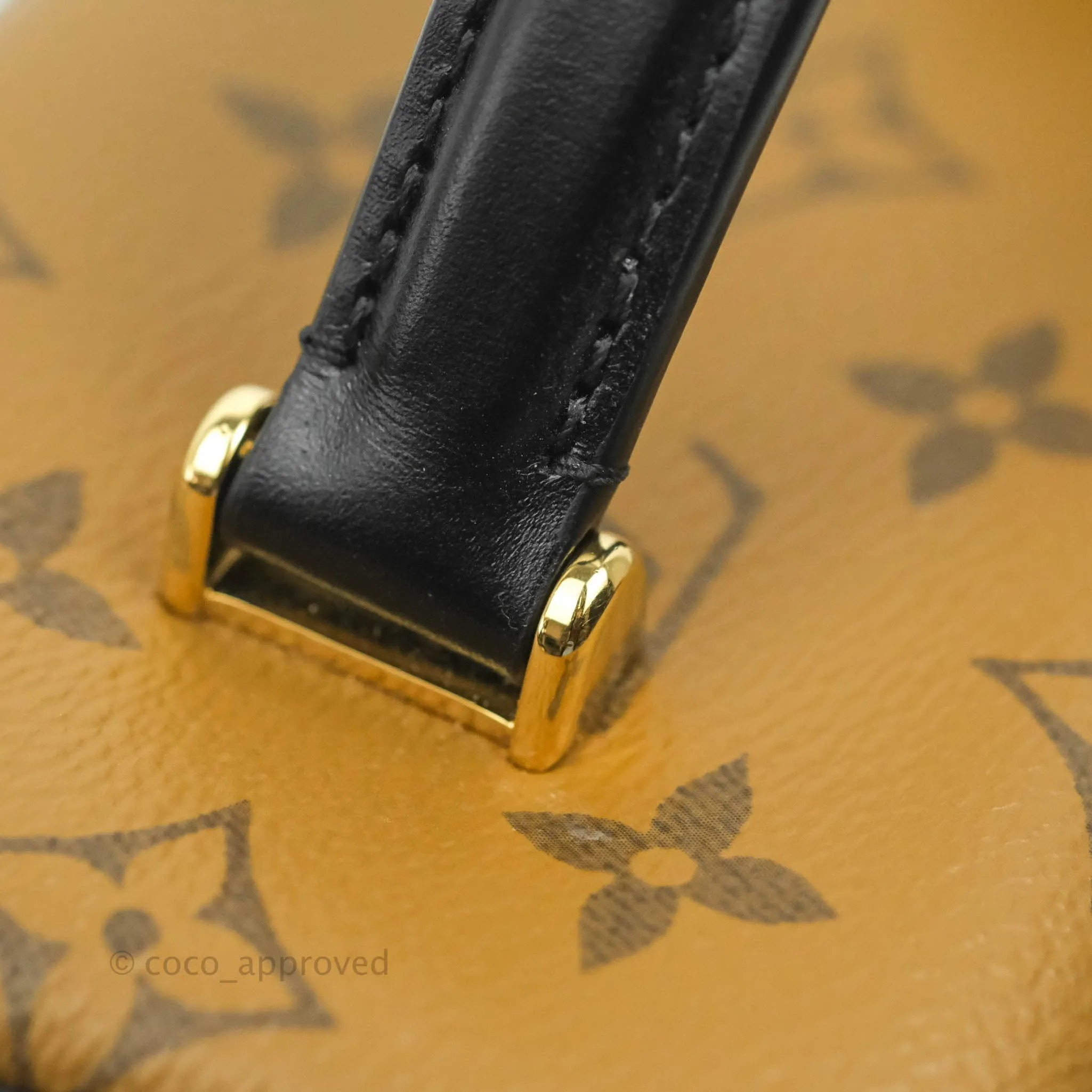 Louis Vuitton Reverse Monogram Vanity PM