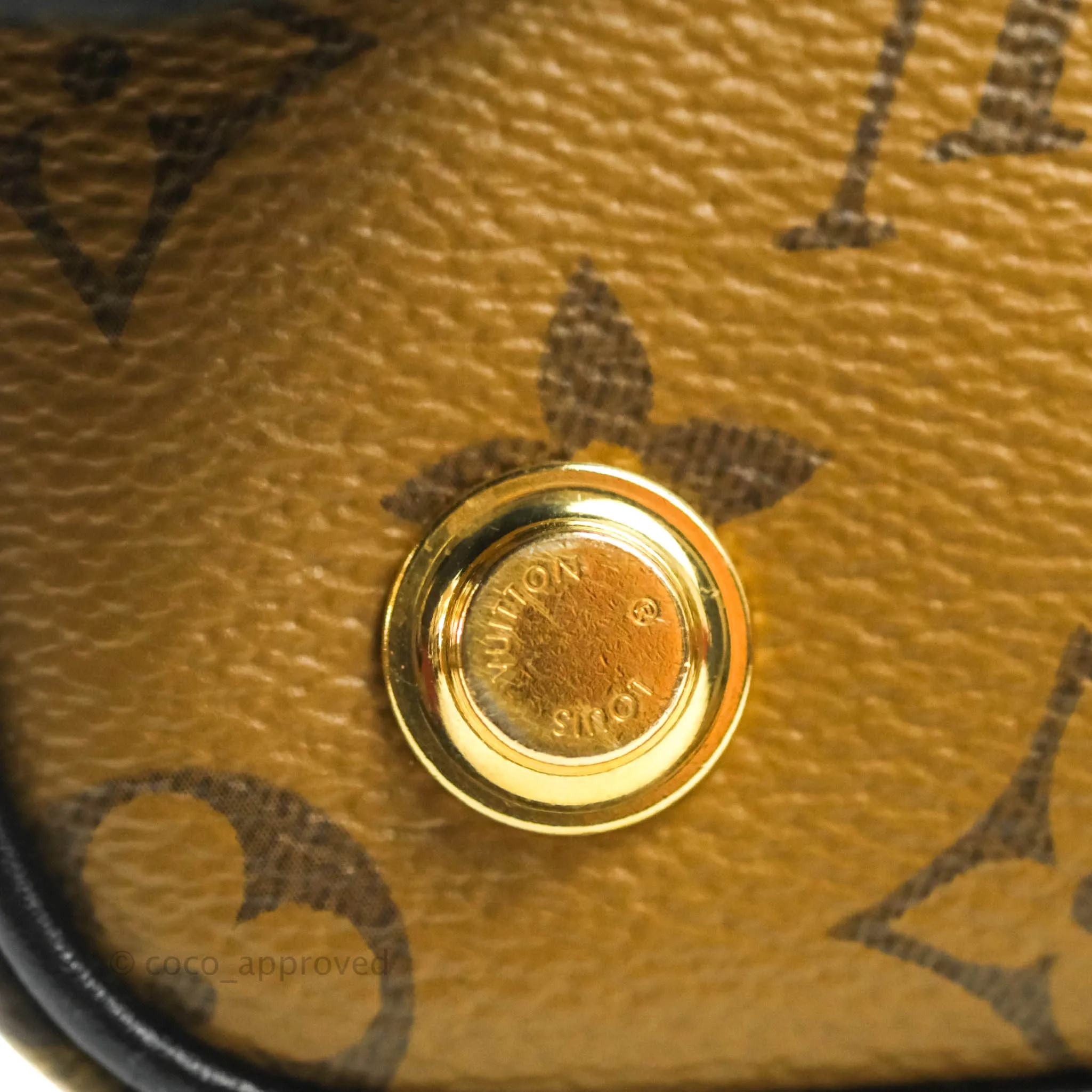 Louis Vuitton Reverse Monogram Vanity PM