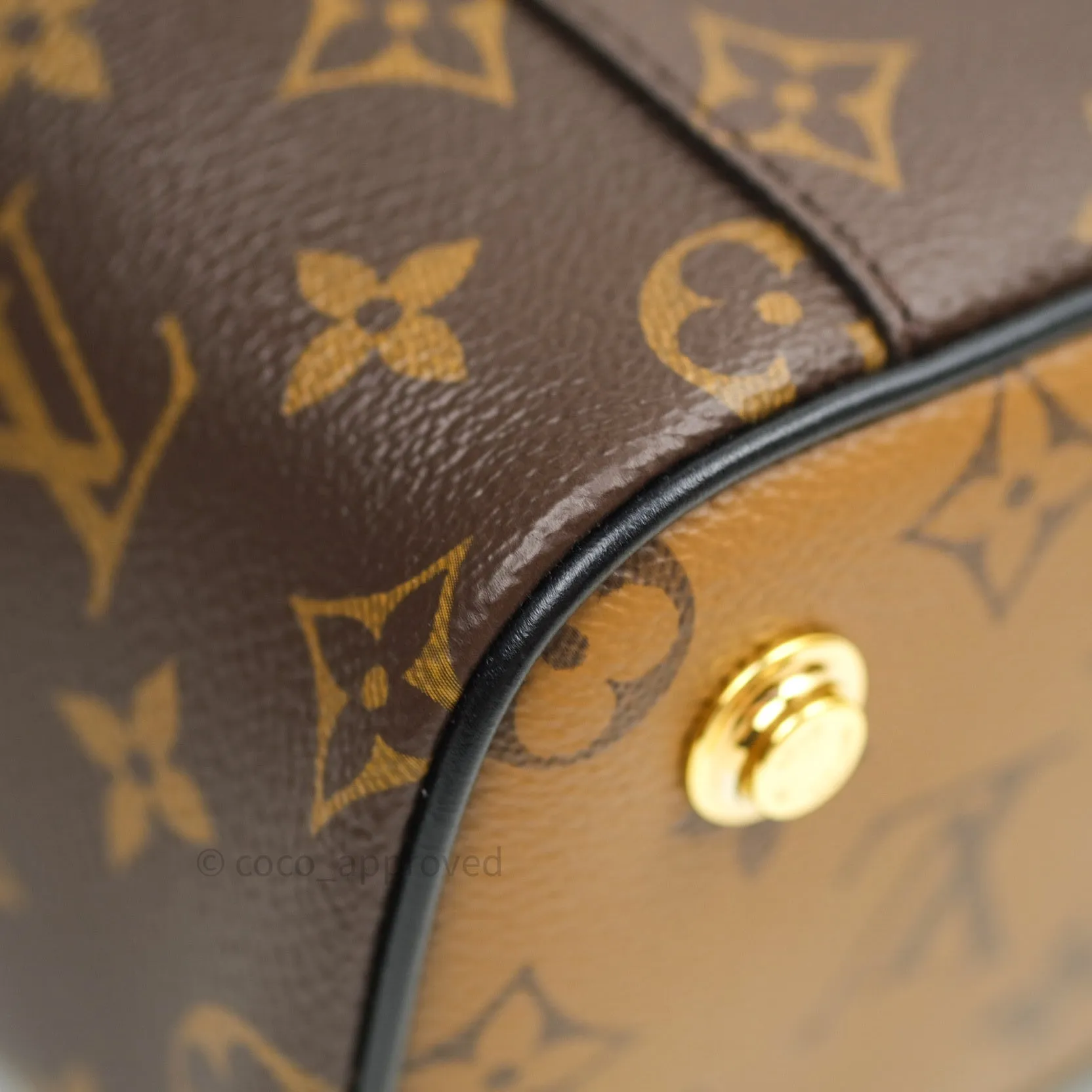 Louis Vuitton Reverse Monogram Vanity PM