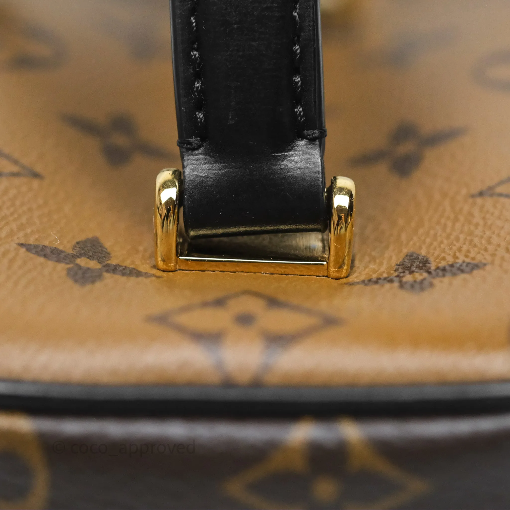 Louis Vuitton Reverse Monogram Vanity PM