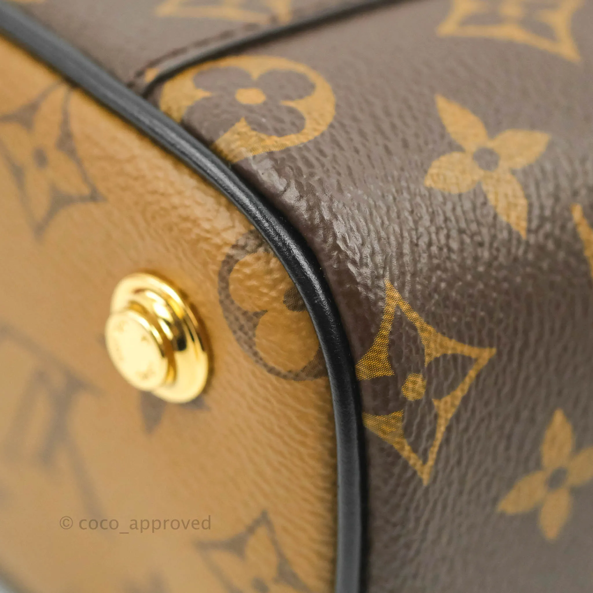 Louis Vuitton Reverse Monogram Vanity PM