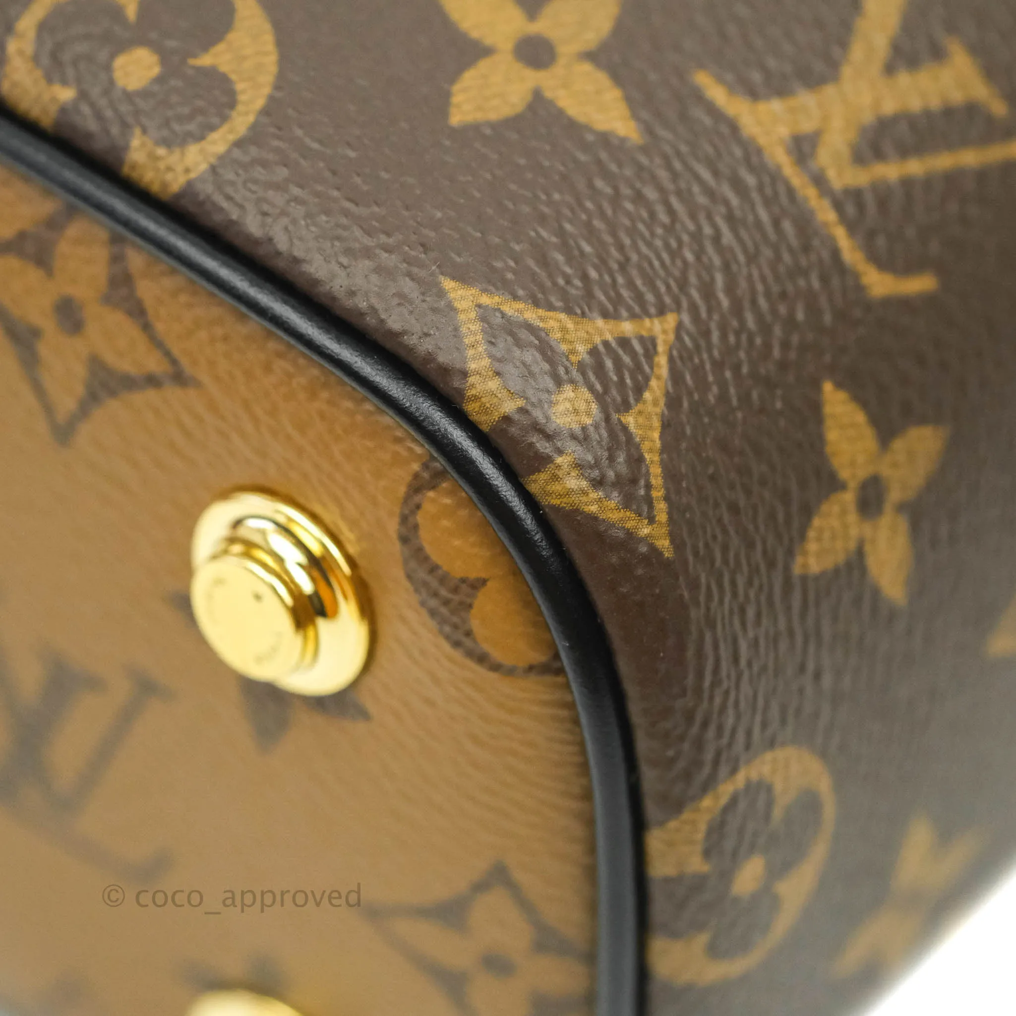 Louis Vuitton Reverse Monogram Vanity PM
