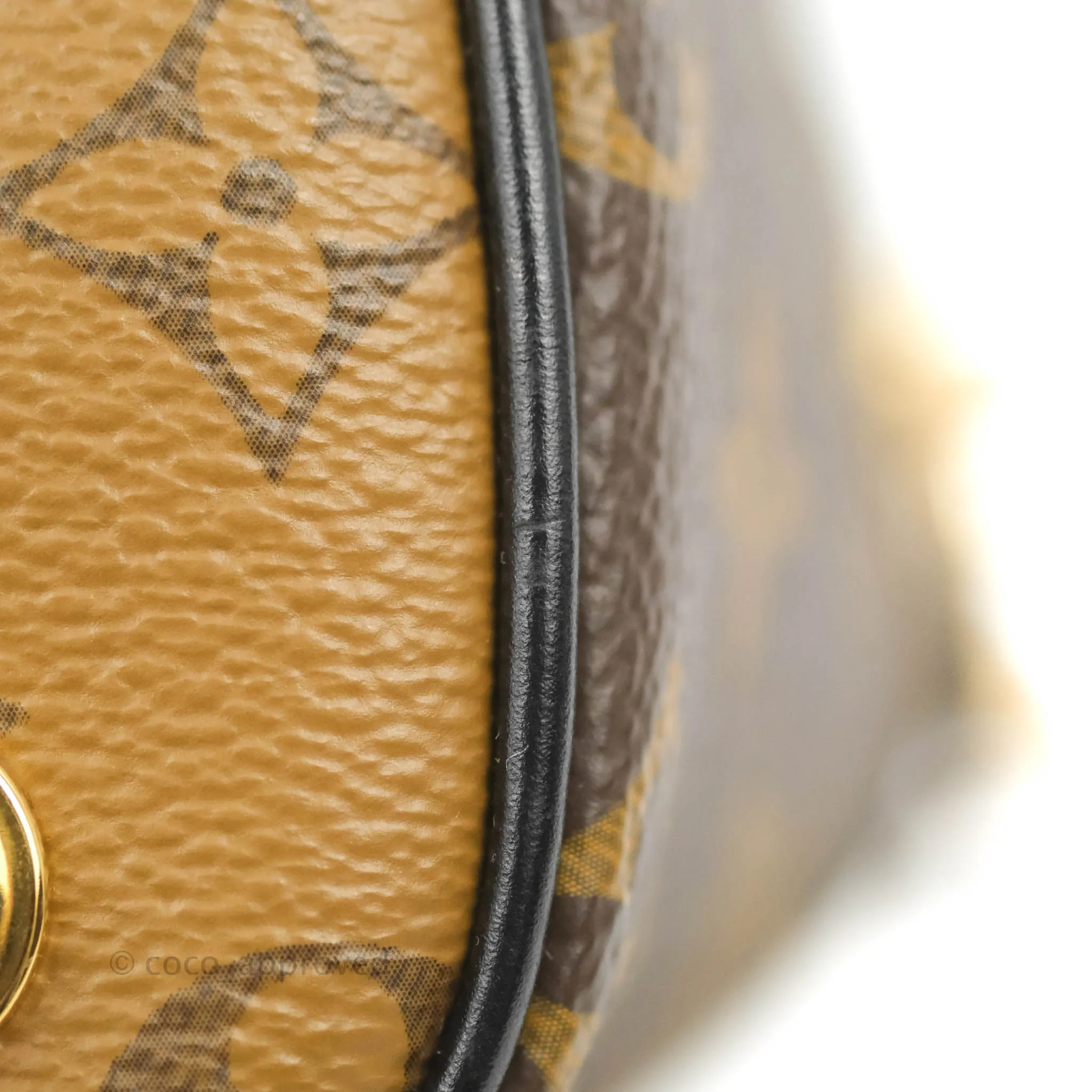 Louis Vuitton Reverse Monogram Vanity PM