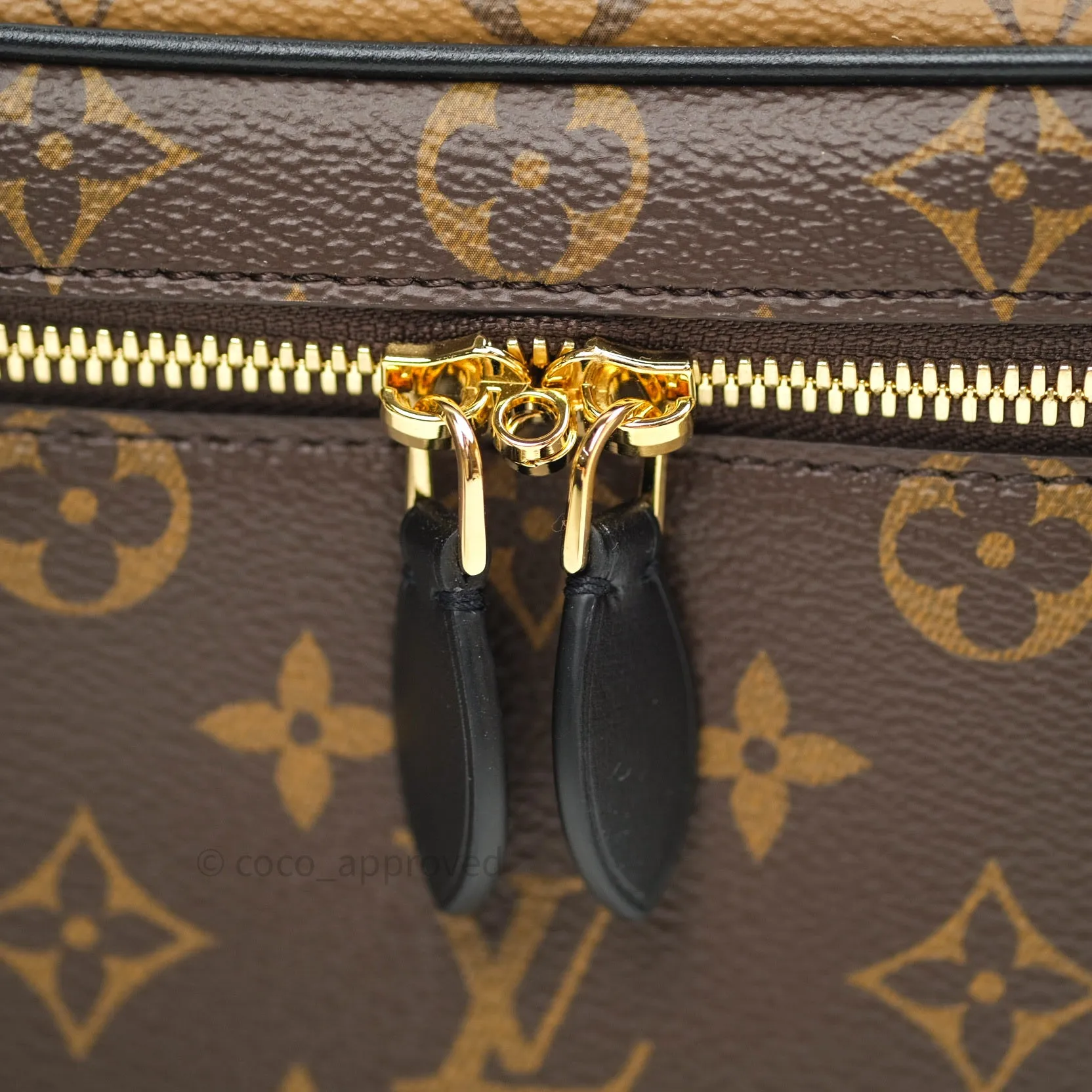 Louis Vuitton Reverse Monogram Vanity PM