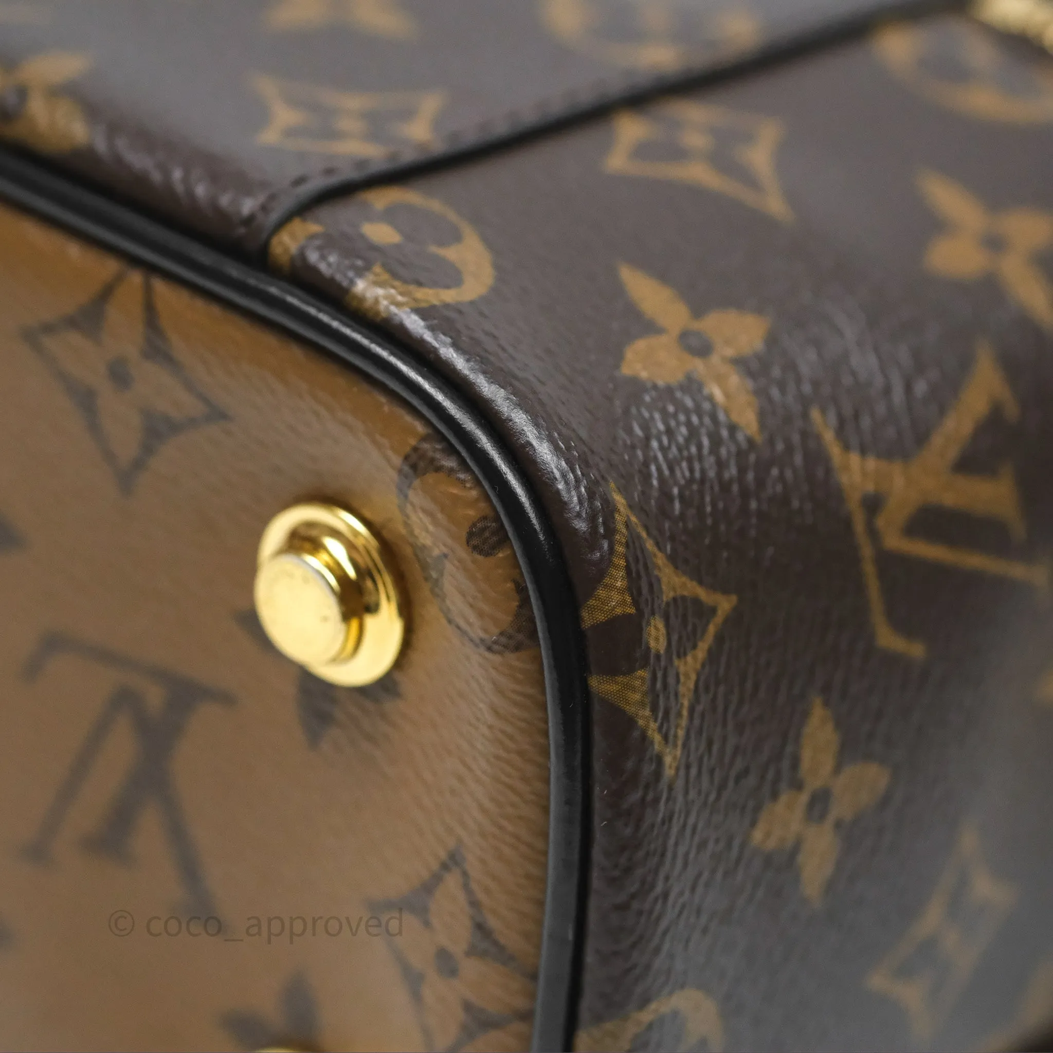 Louis Vuitton Reverse Monogram Vanity PM