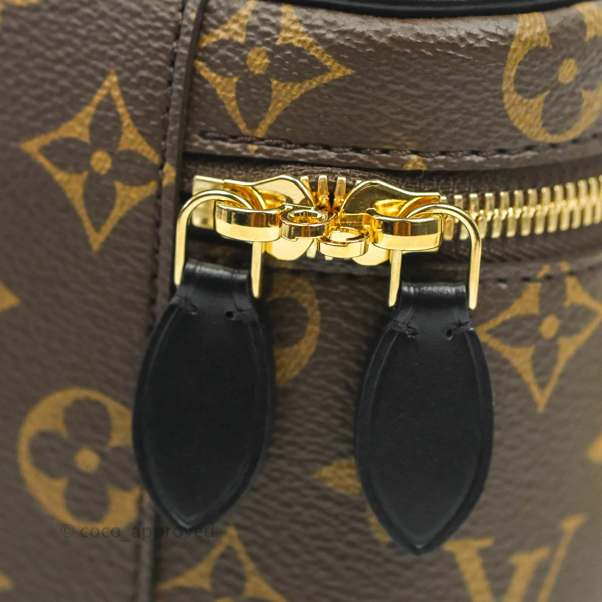 Louis Vuitton Reverse Monogram Vanity PM