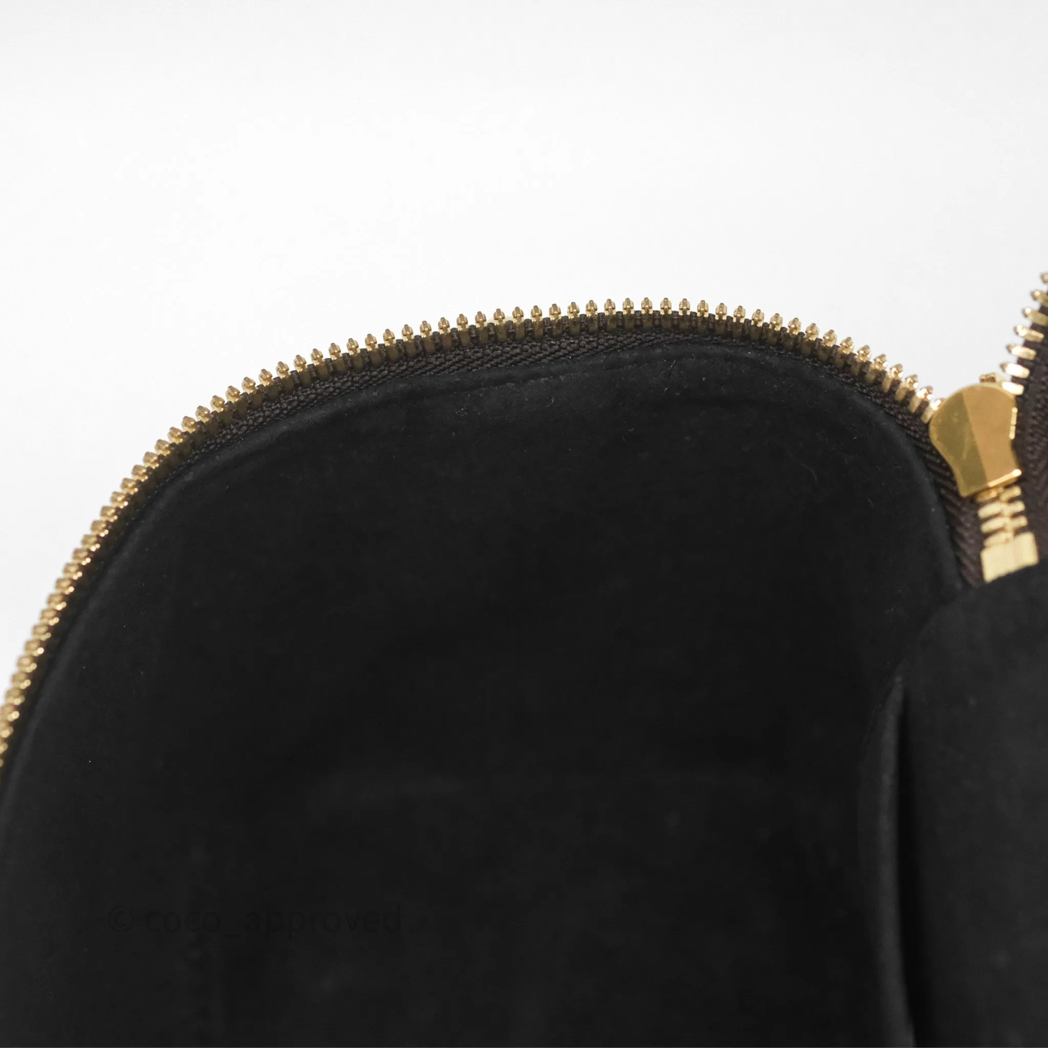 Louis Vuitton Reverse Monogram Vanity PM