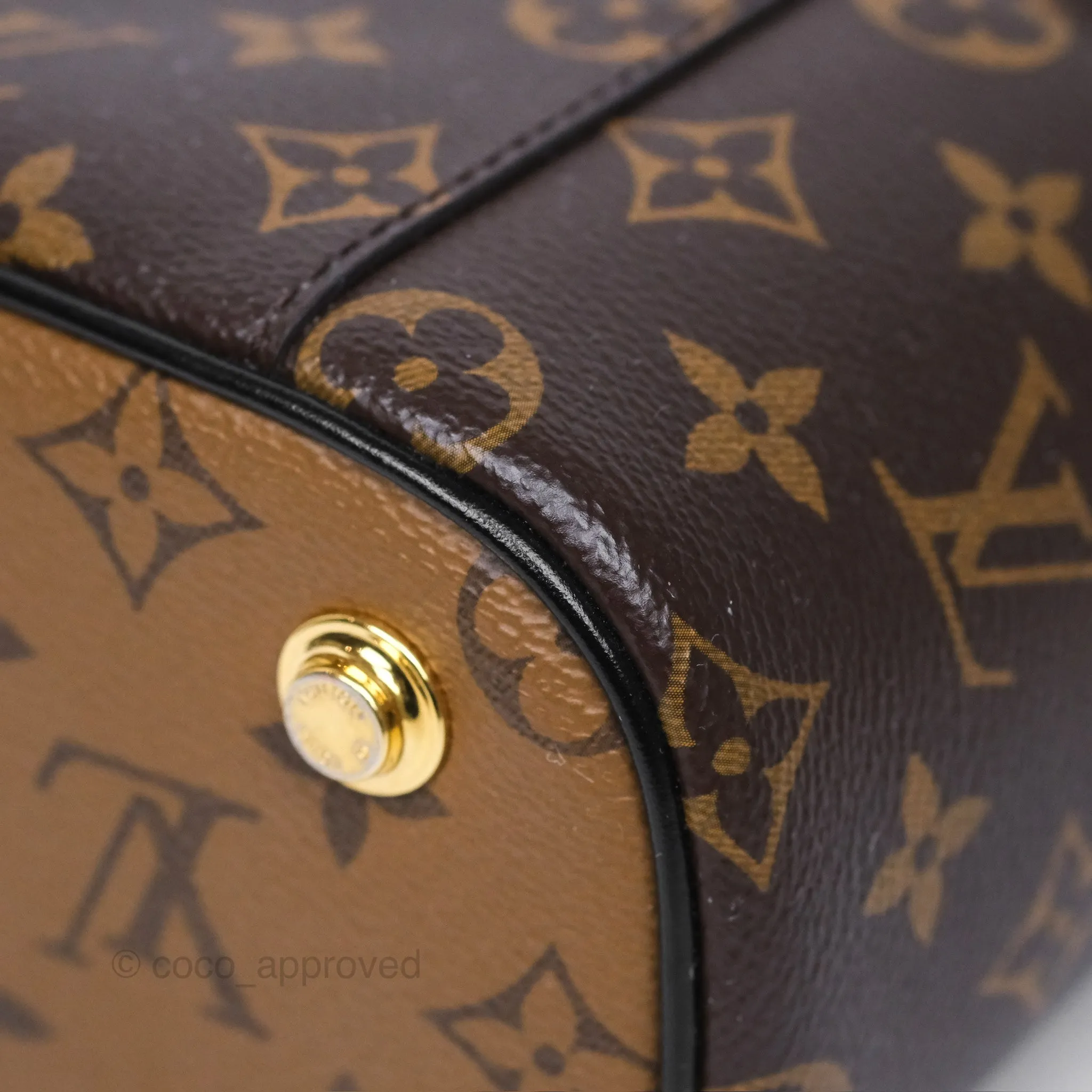 Louis Vuitton Reverse Monogram Vanity PM