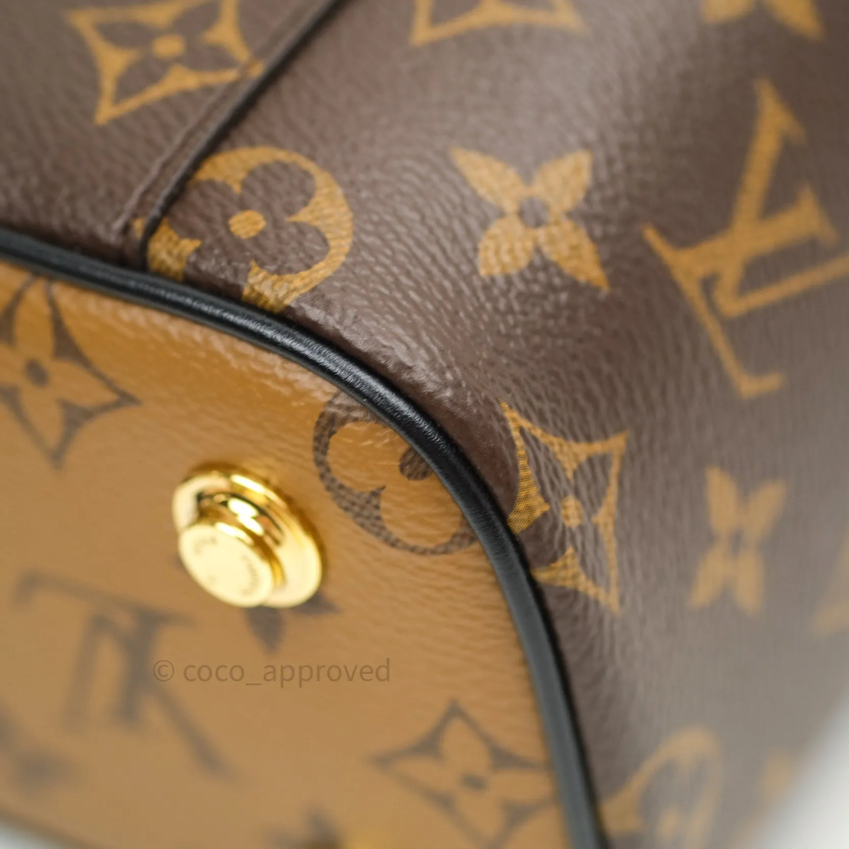 Louis Vuitton Reverse Monogram Vanity PM