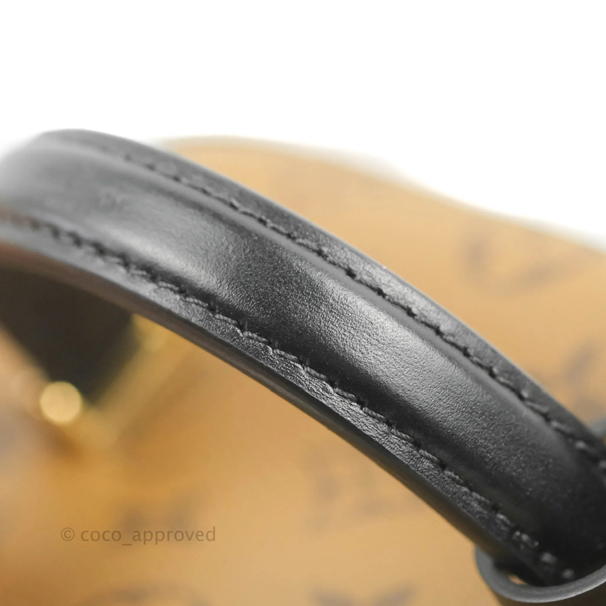 Louis Vuitton Reverse Monogram Vanity PM