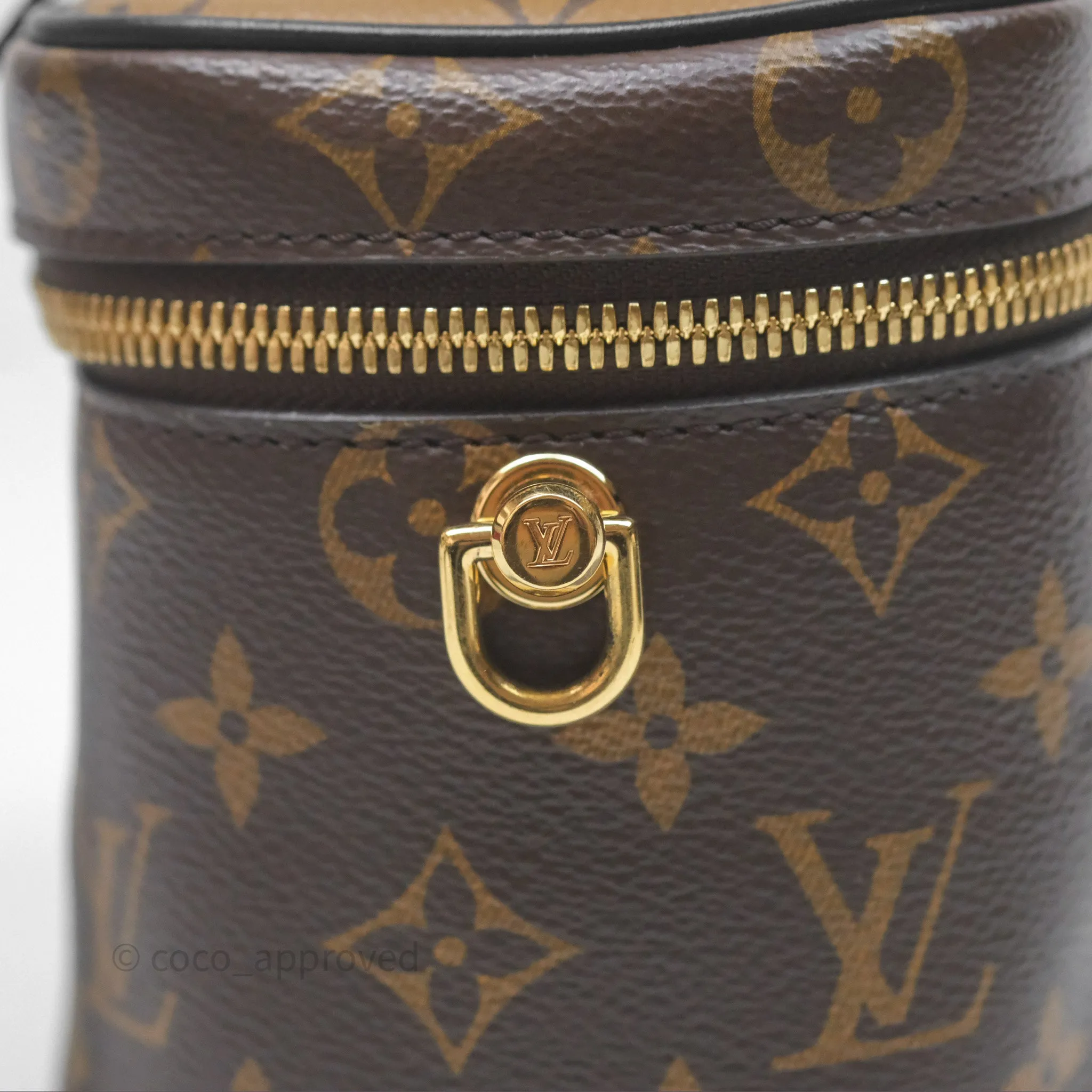 Louis Vuitton Reverse Monogram Vanity PM