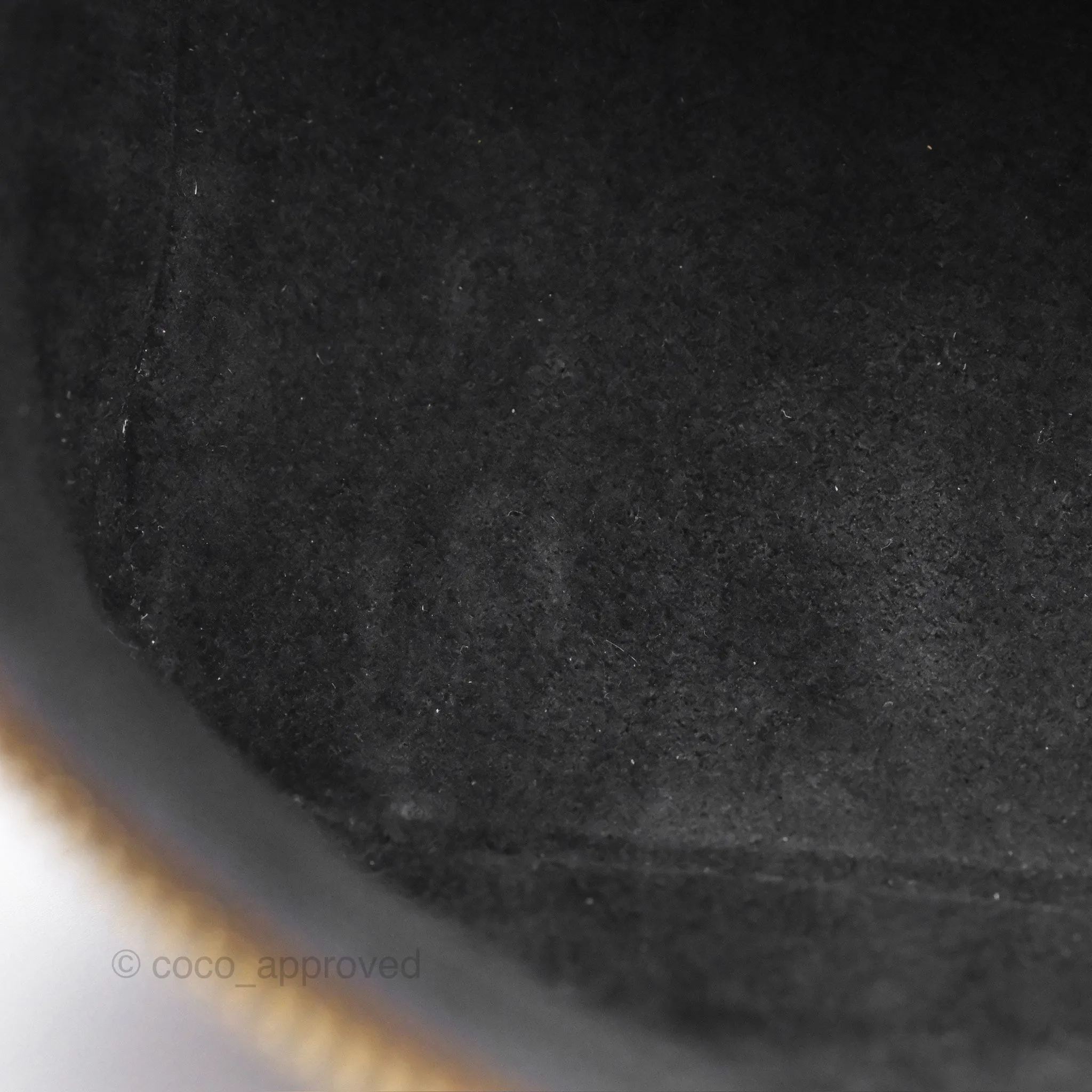 Louis Vuitton Reverse Monogram Vanity PM