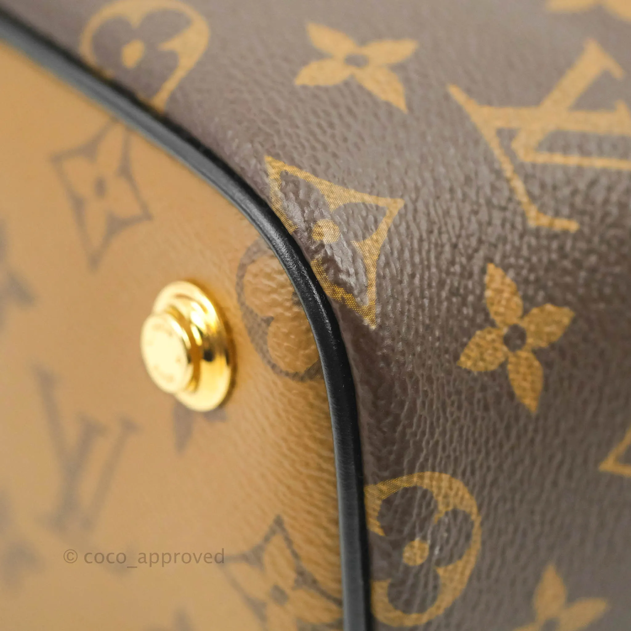 Louis Vuitton Reverse Monogram Vanity PM