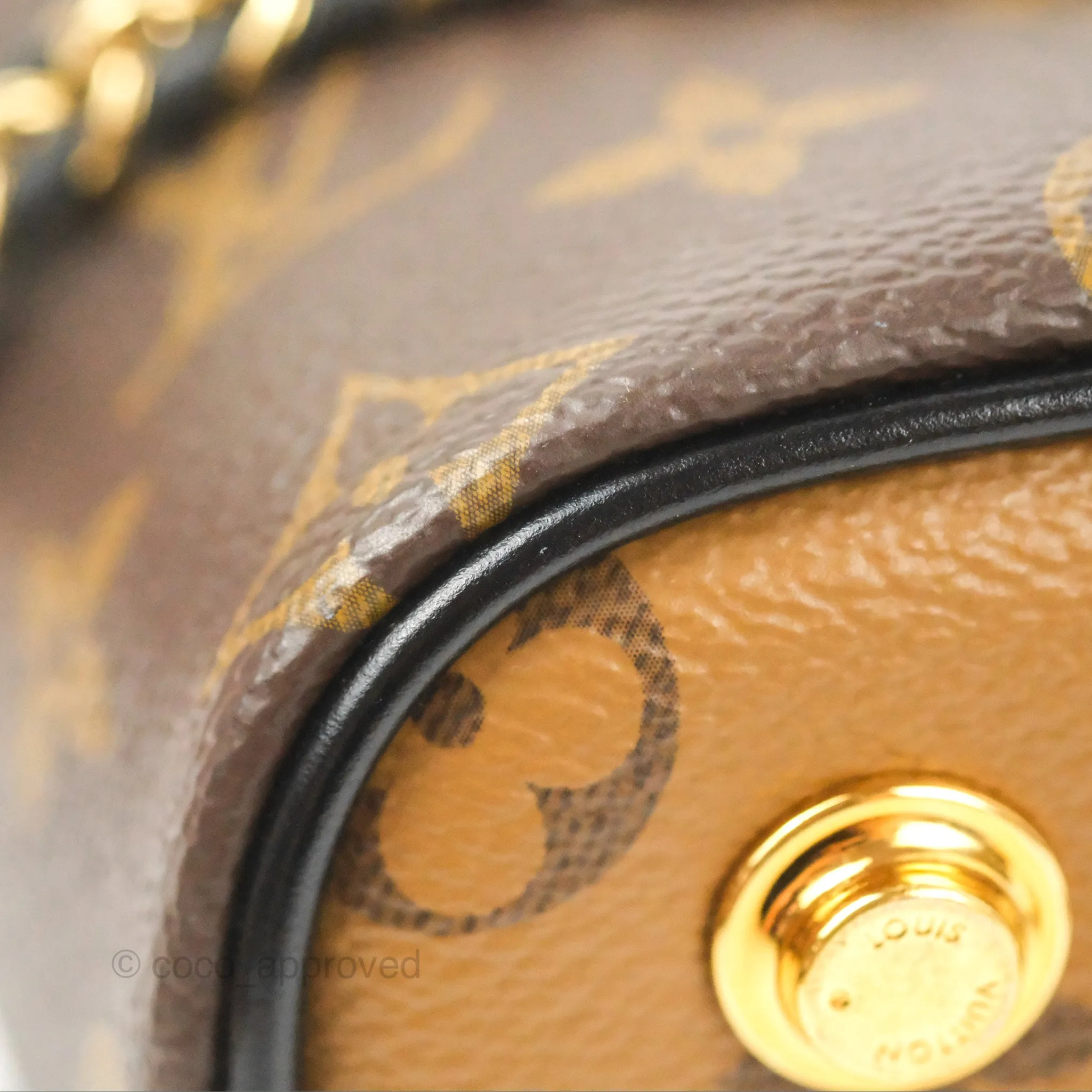 Louis Vuitton Reverse Monogram Vanity PM