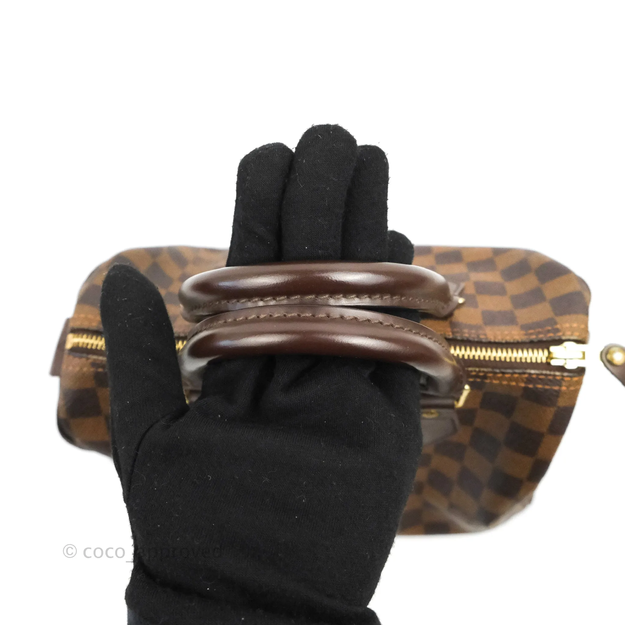 Louis Vuitton Speedy 25 Damier Canvas