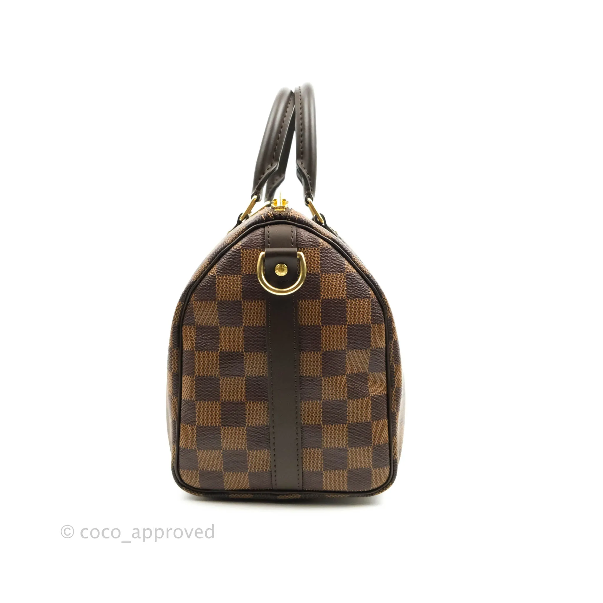 Louis Vuitton Speedy 25 Damier Canvas