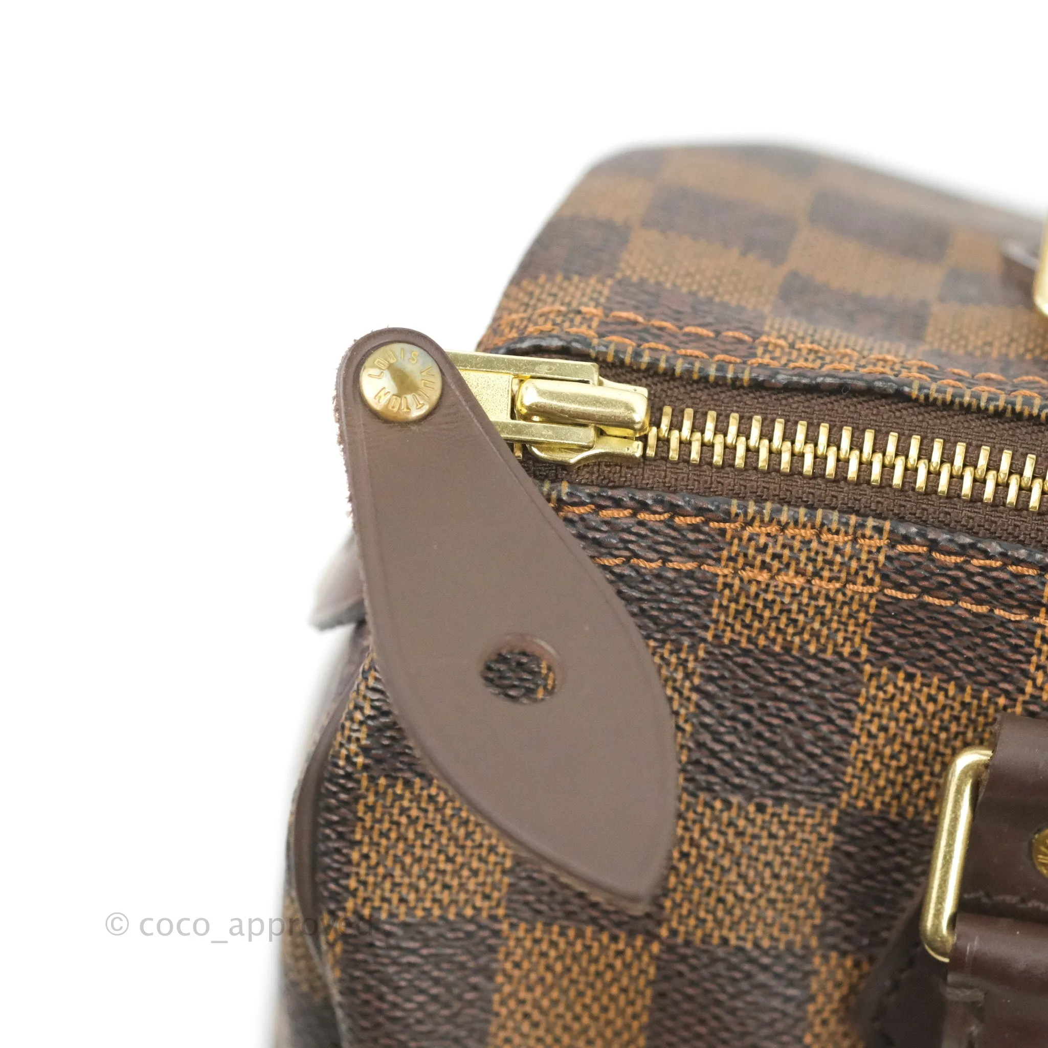 Louis Vuitton Speedy 25 Damier Canvas