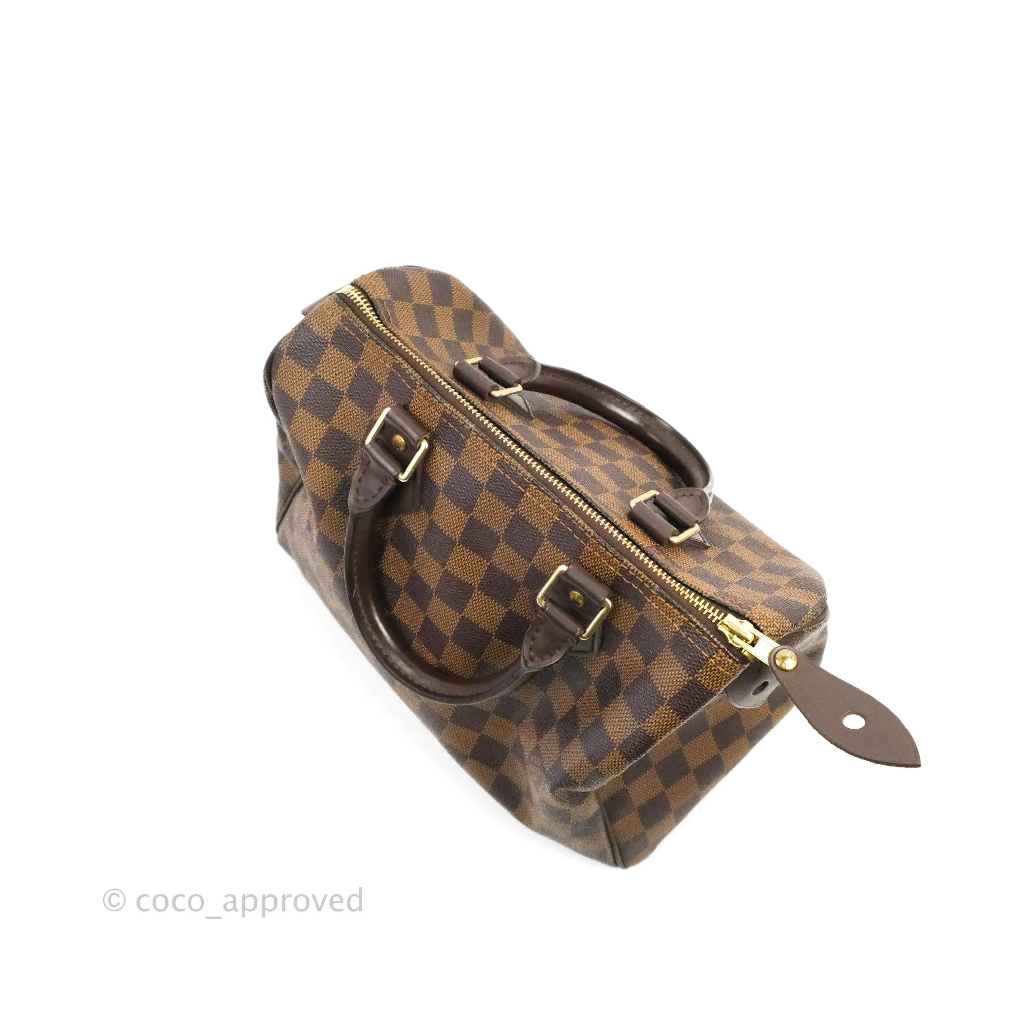 Louis Vuitton Speedy 25 Damier Canvas