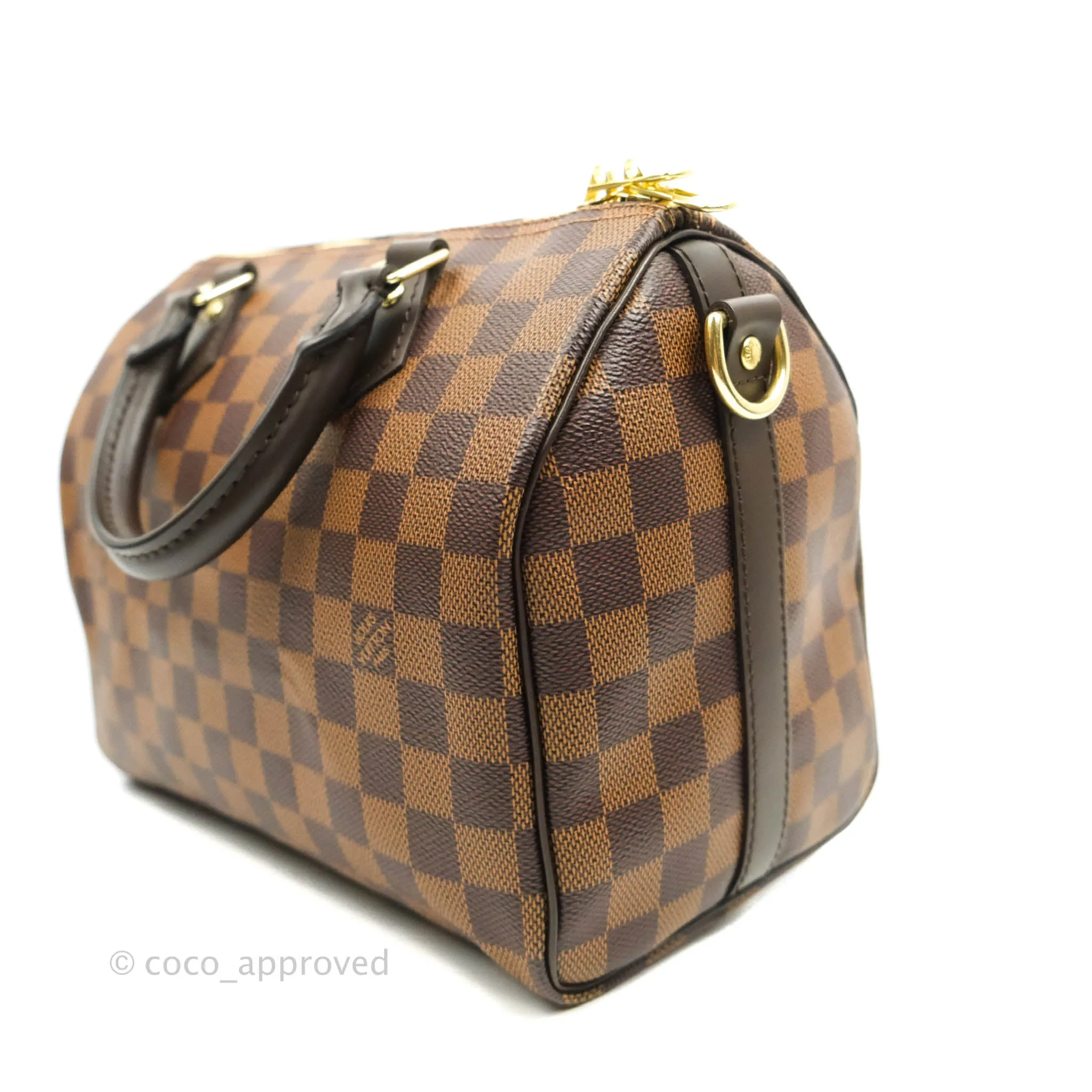Louis Vuitton Speedy 25 Damier Canvas