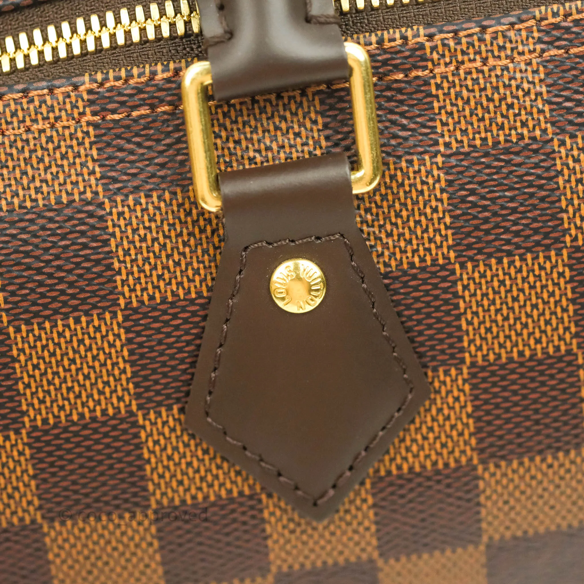 Louis Vuitton Speedy 25 Damier Canvas