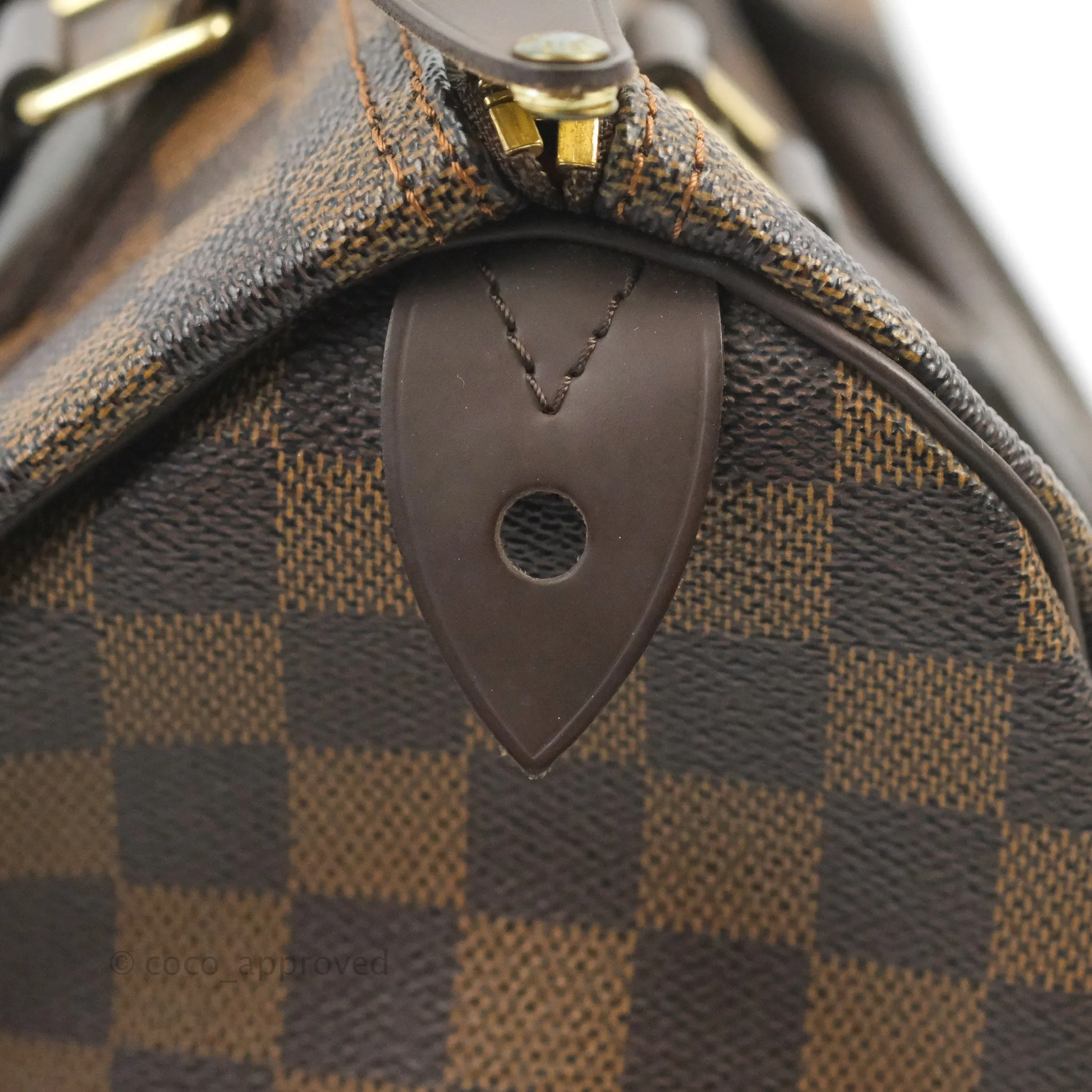 Louis Vuitton Speedy 25 Damier Canvas