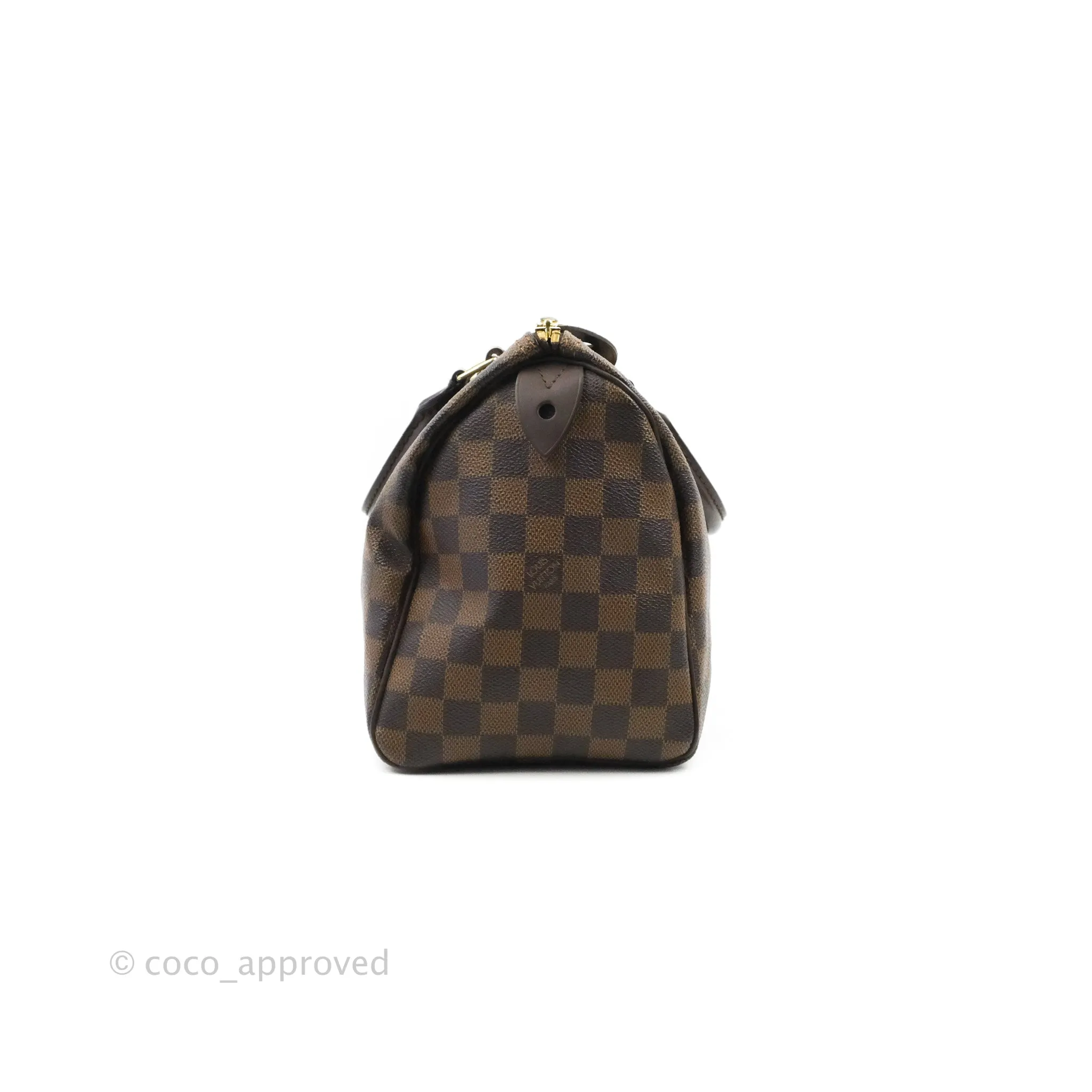 Louis Vuitton Speedy 25 Damier Canvas