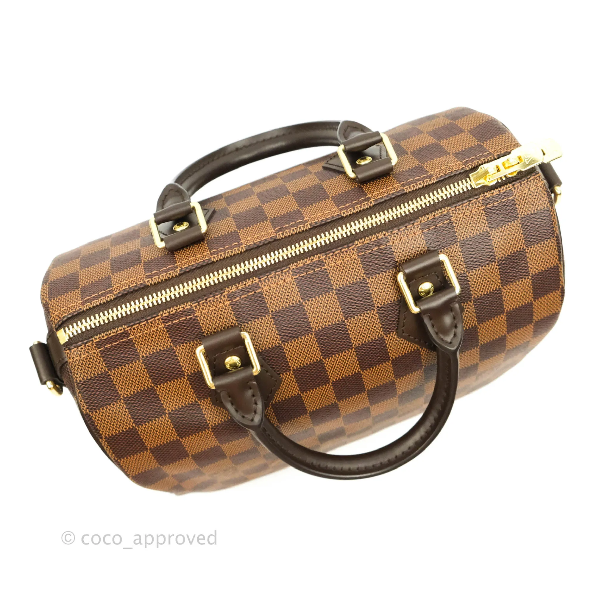 Louis Vuitton Speedy 25 Damier Canvas