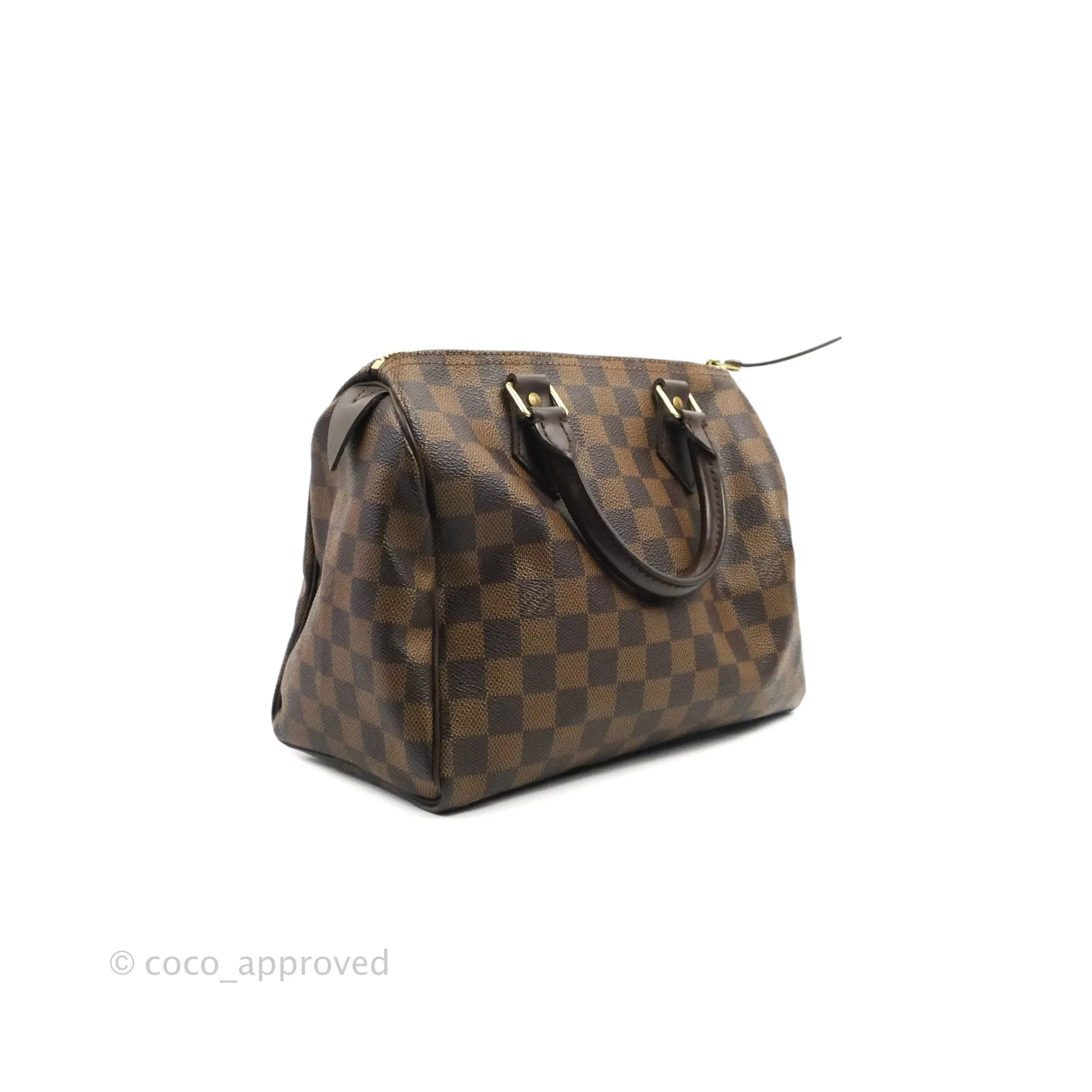 Louis Vuitton Speedy 25 Damier Canvas