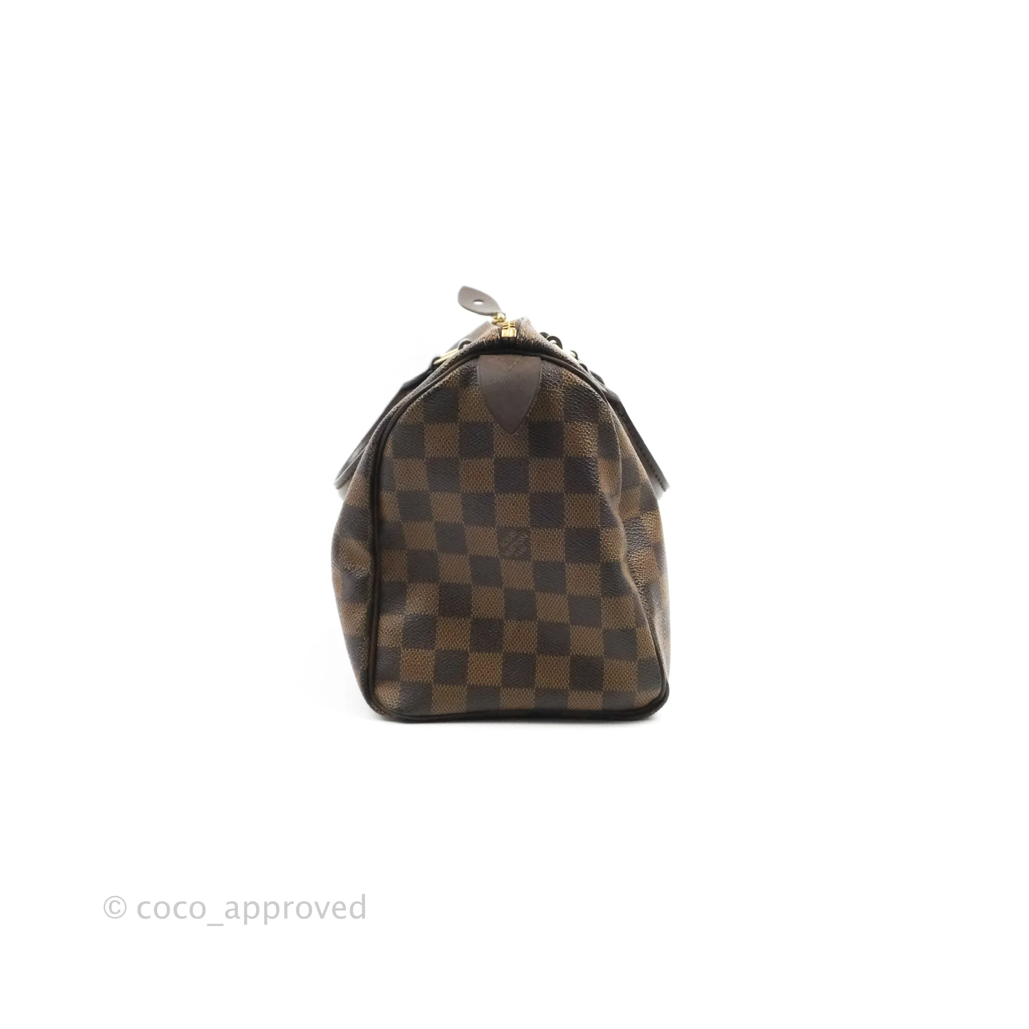 Louis Vuitton Speedy 25 Damier Canvas