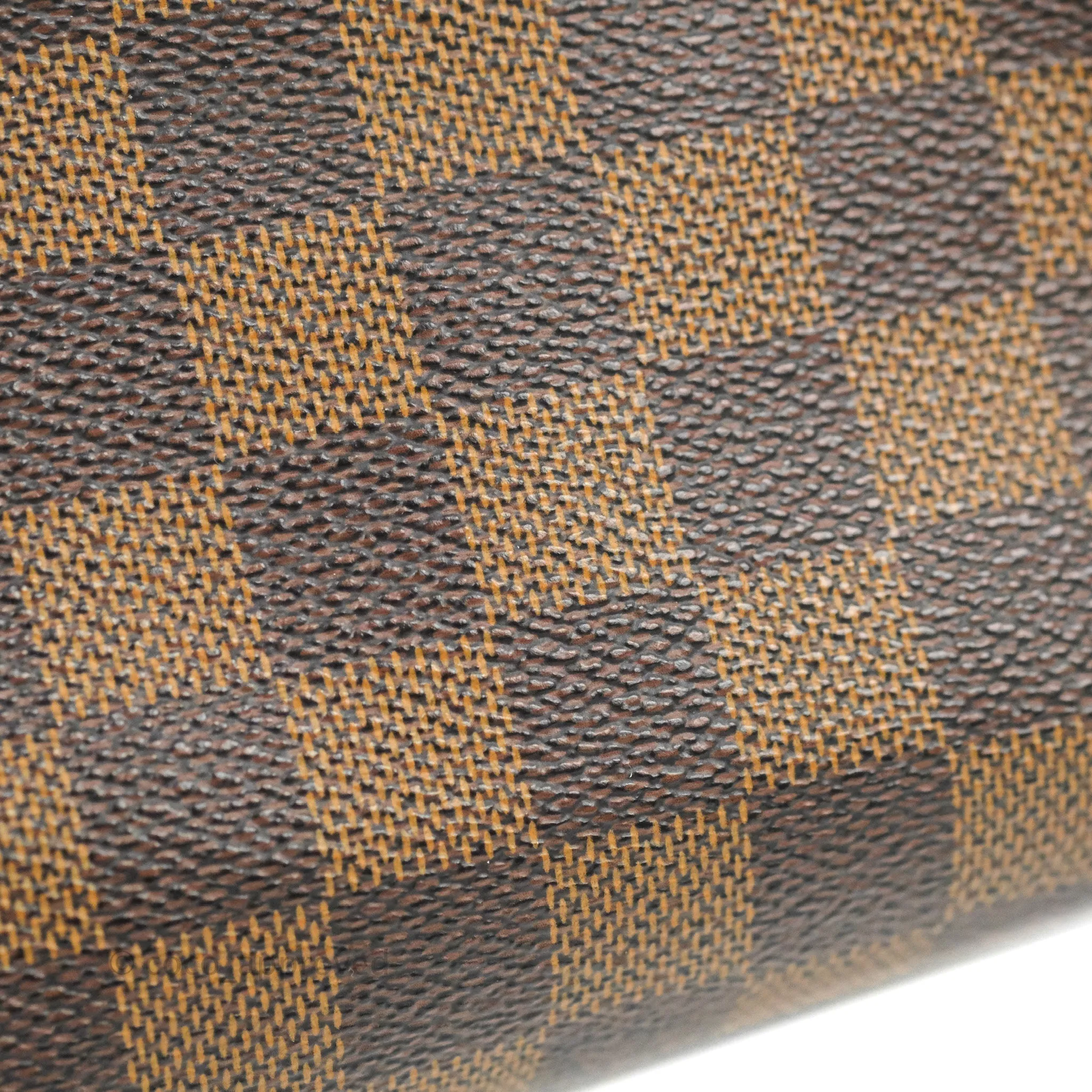 Louis Vuitton Speedy 25 Damier Canvas