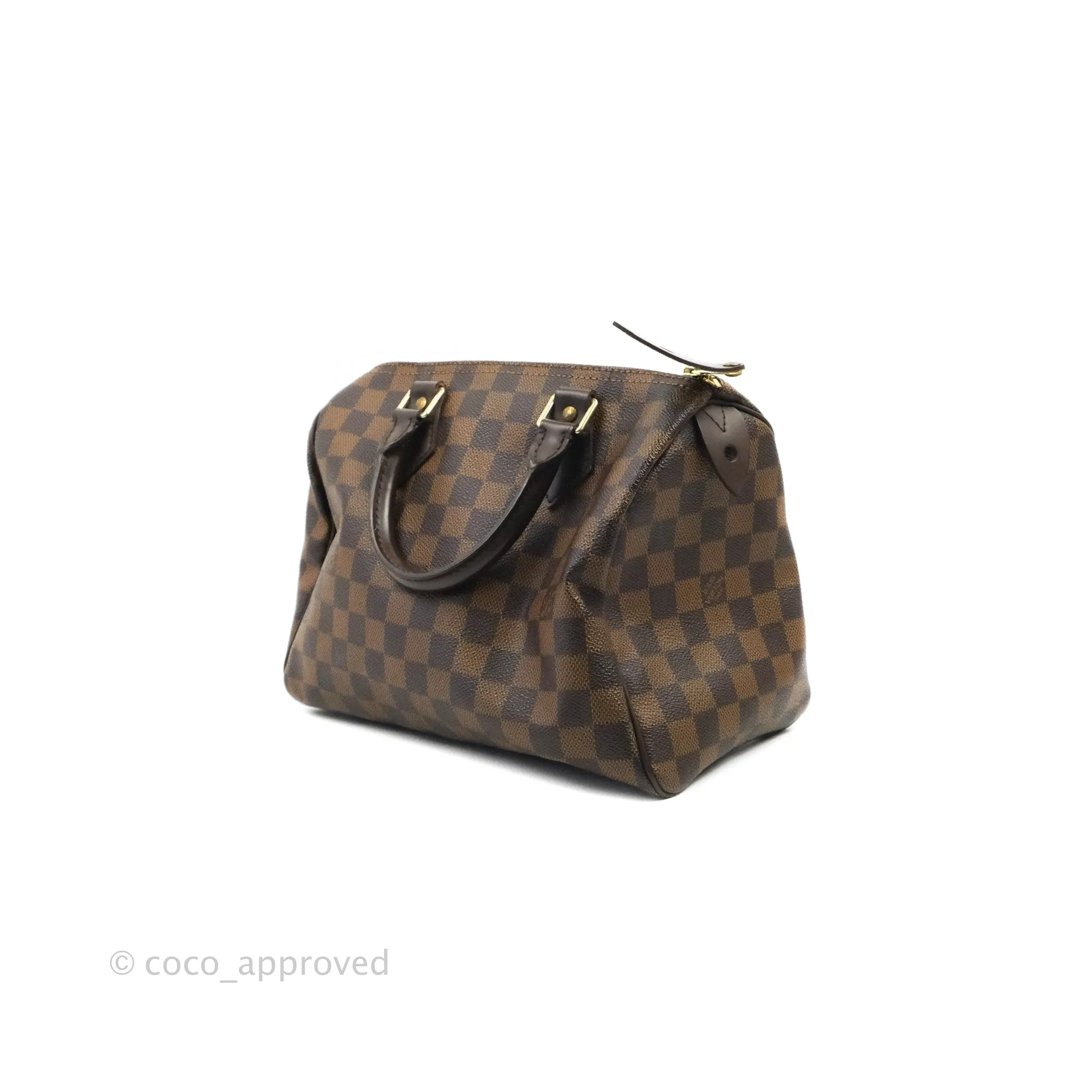 Louis Vuitton Speedy 25 Damier Canvas