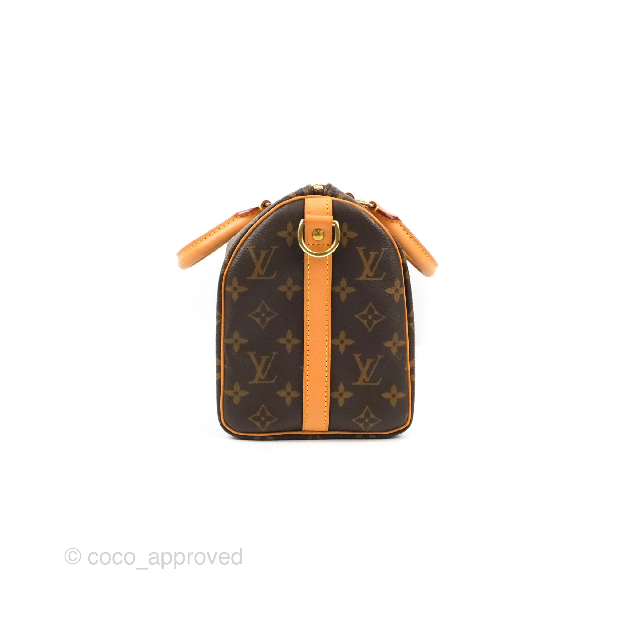 Louis Vuitton Speedy 25 Monogram Canvas