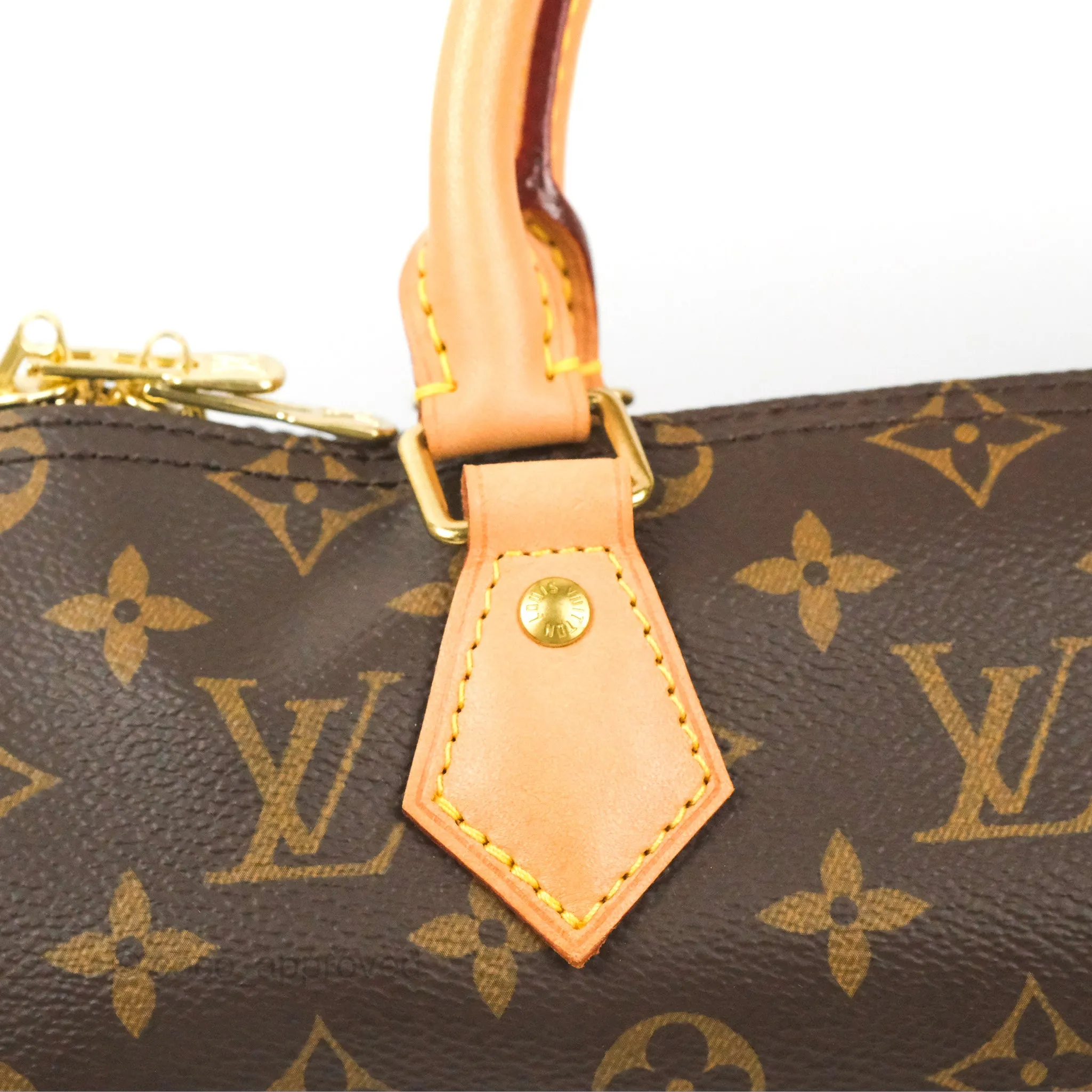 Louis Vuitton Speedy 25 Monogram Canvas