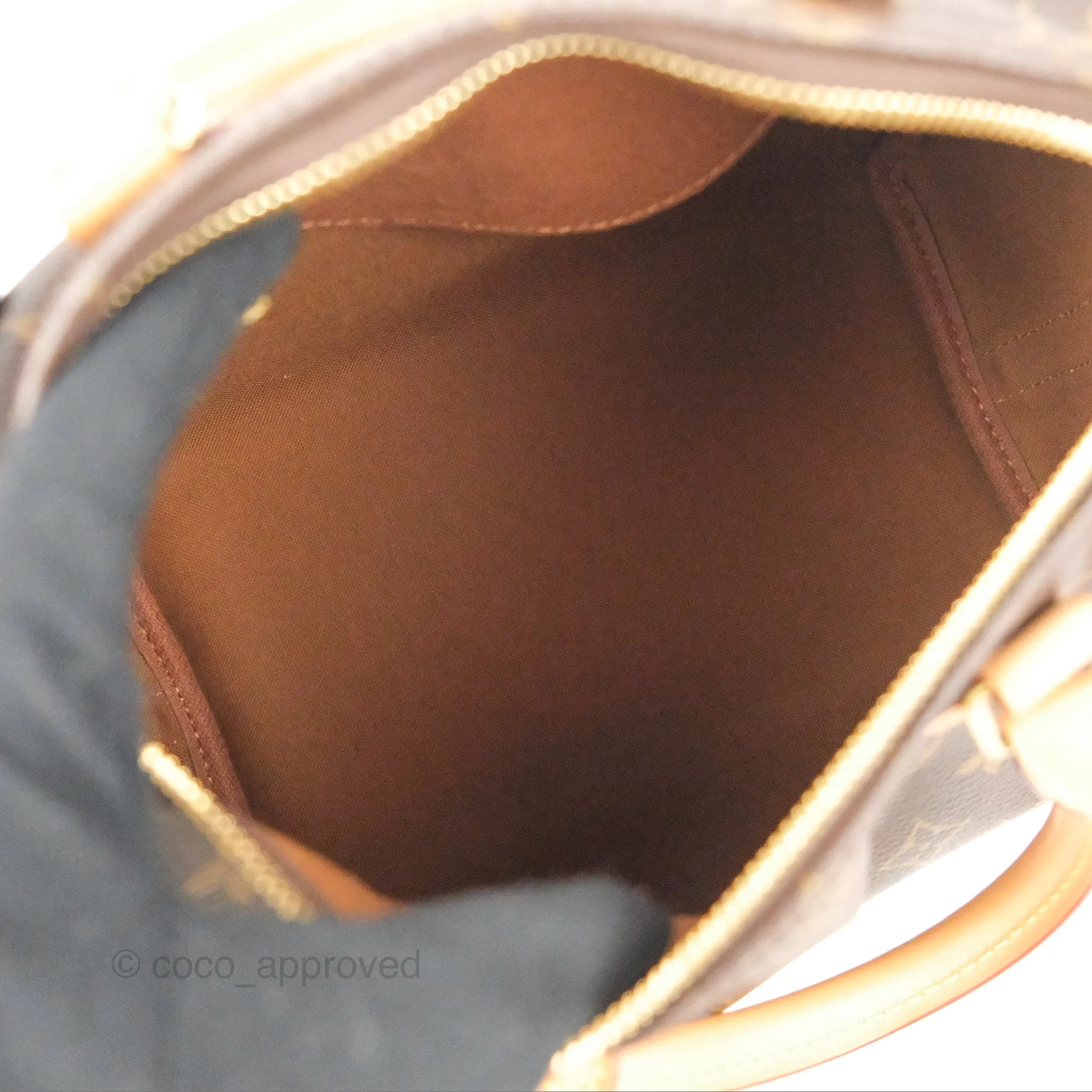 Louis Vuitton Speedy 25 Monogram Canvas