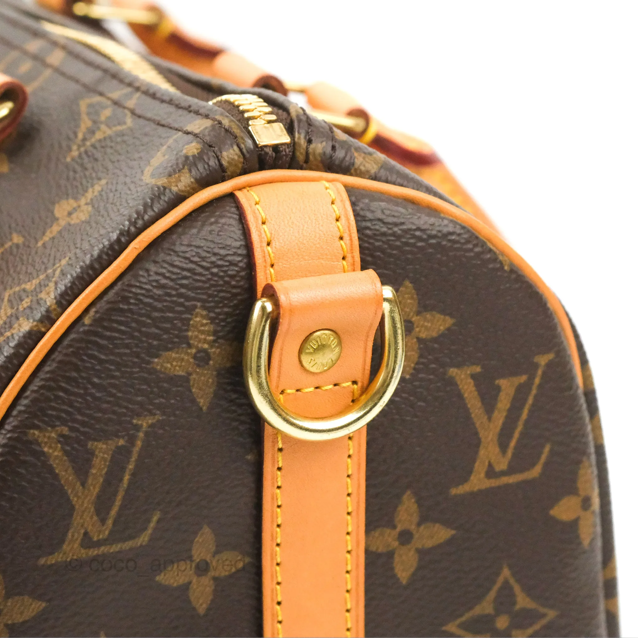 Louis Vuitton Speedy 25 Monogram Canvas