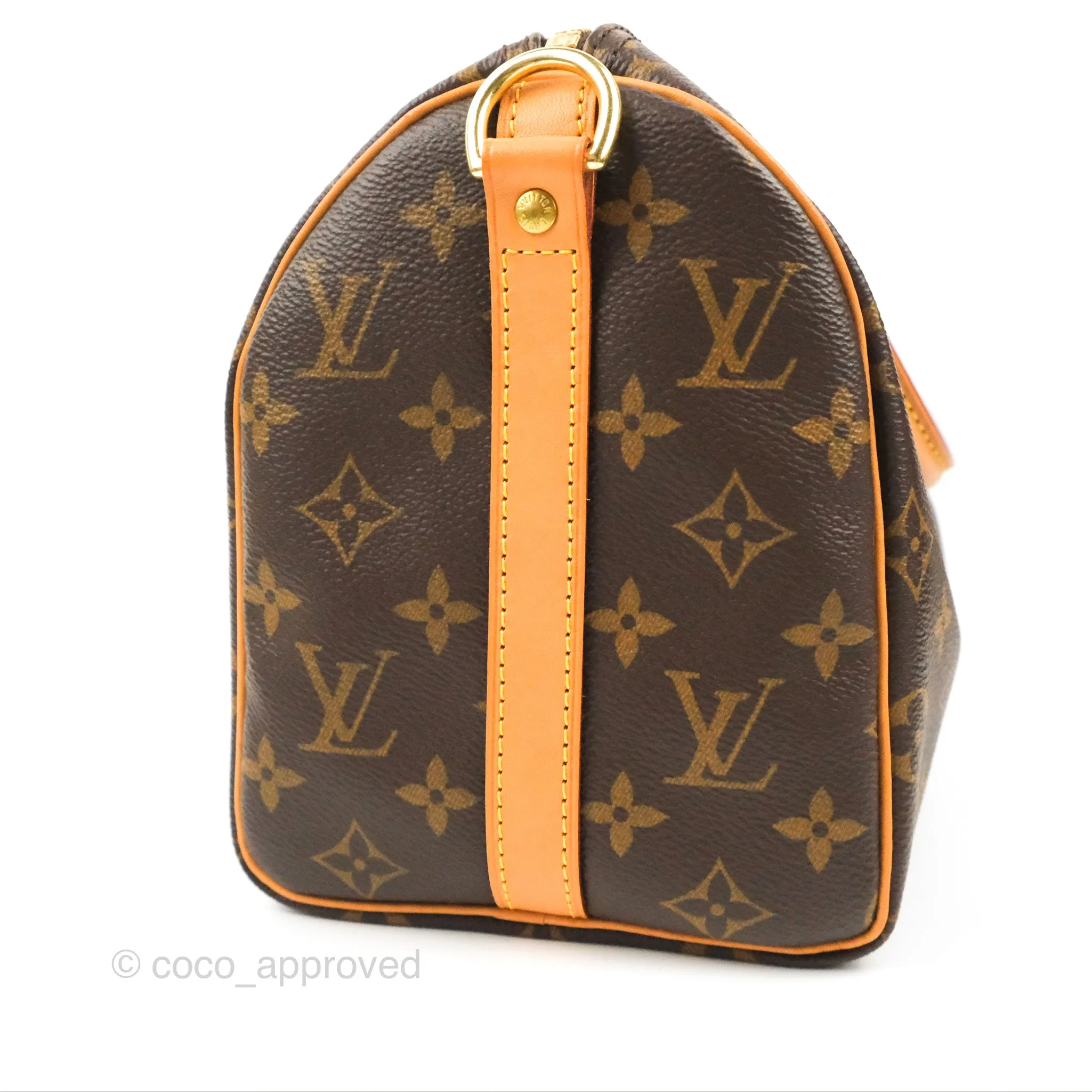 Louis Vuitton Speedy 25 Monogram Canvas