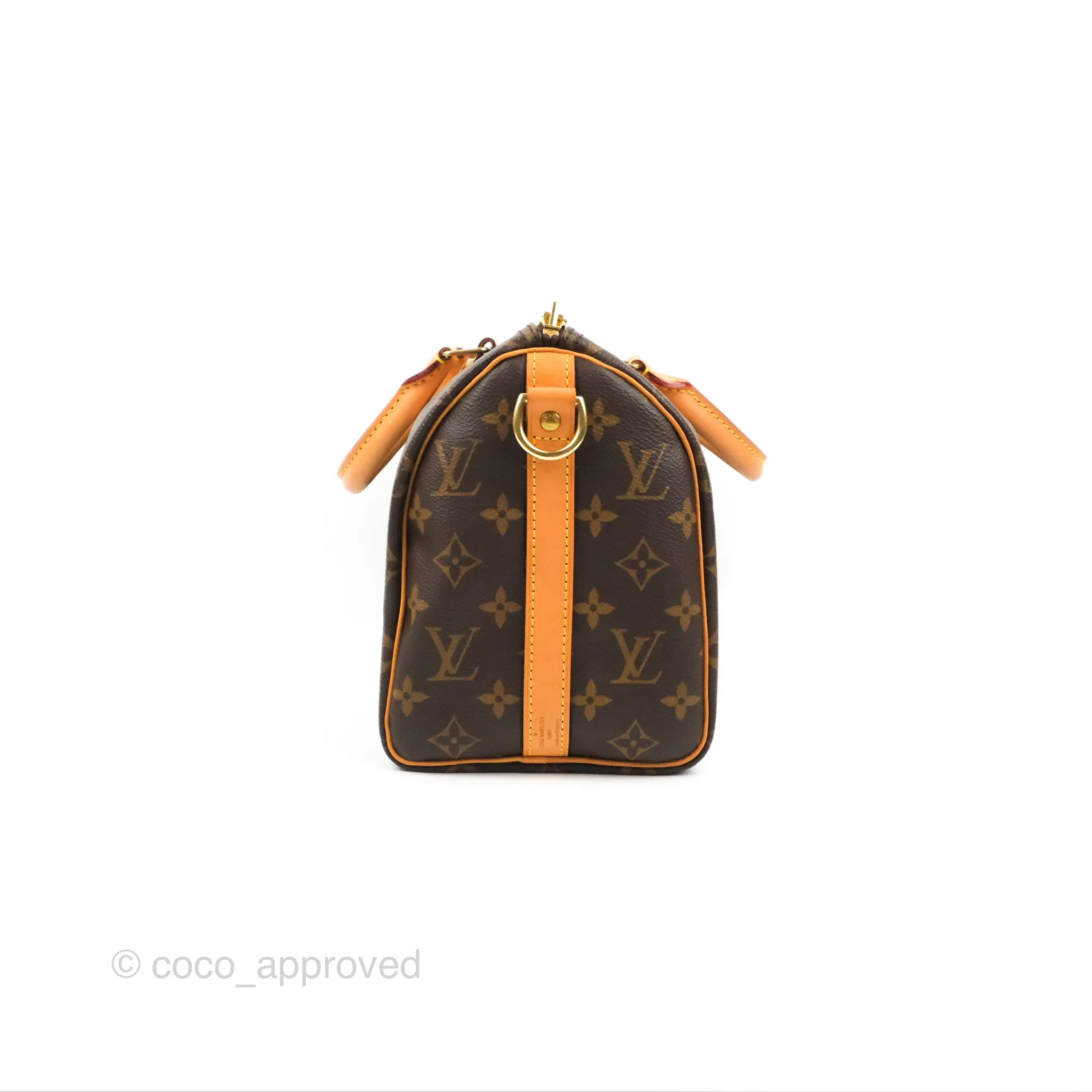 Louis Vuitton Speedy 25 Monogram Canvas