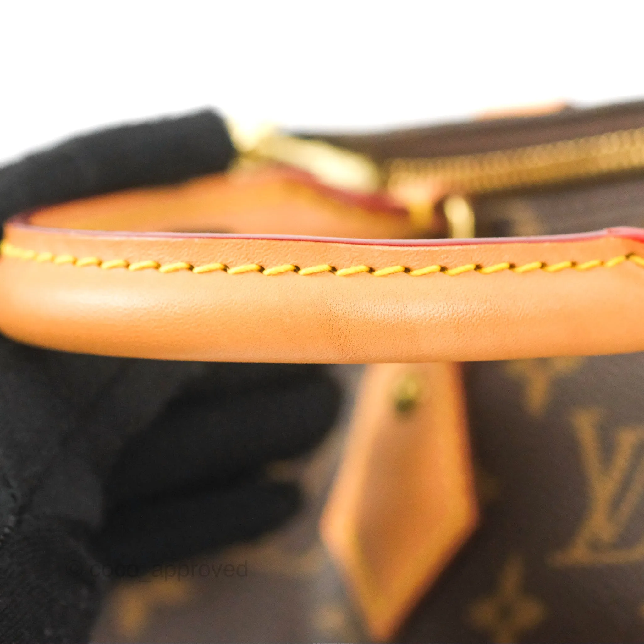 Louis Vuitton Speedy 25 Monogram Canvas