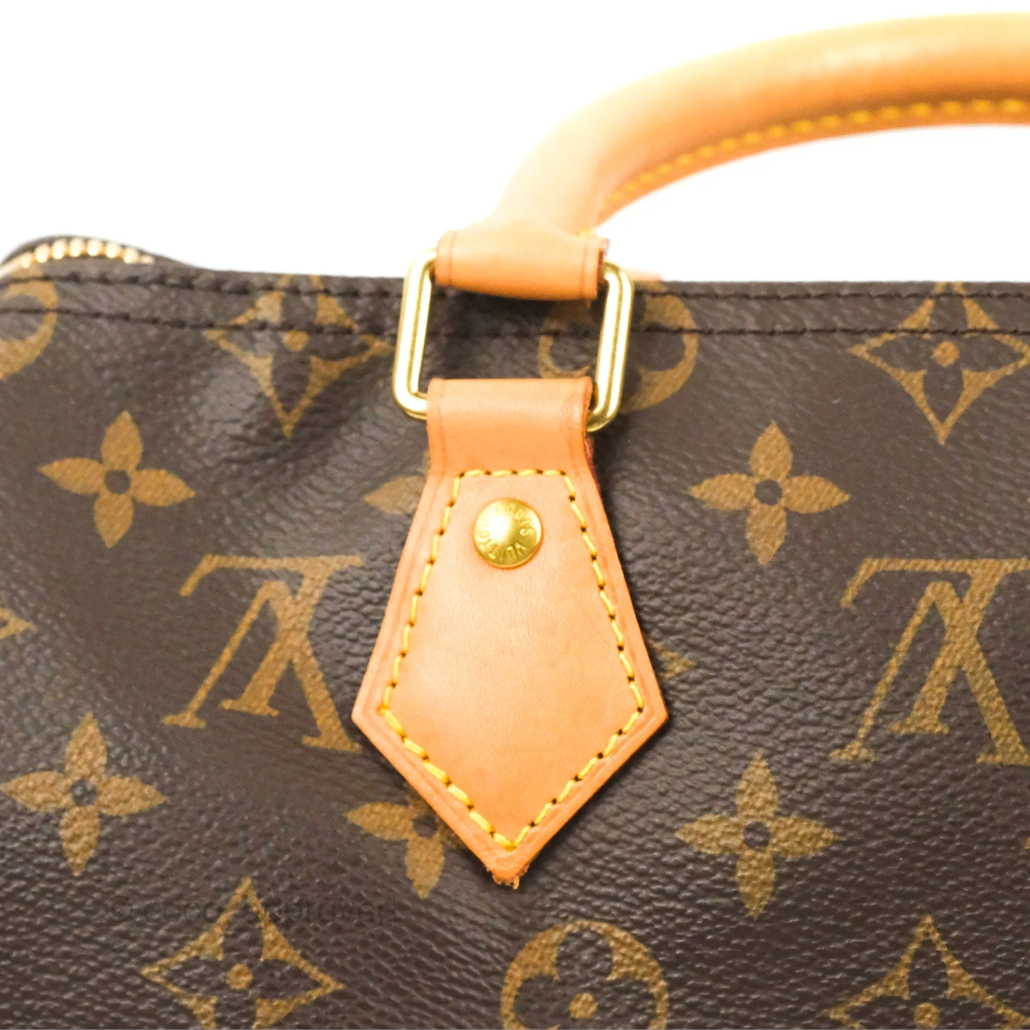 Louis Vuitton Speedy 25 Monogram Canvas