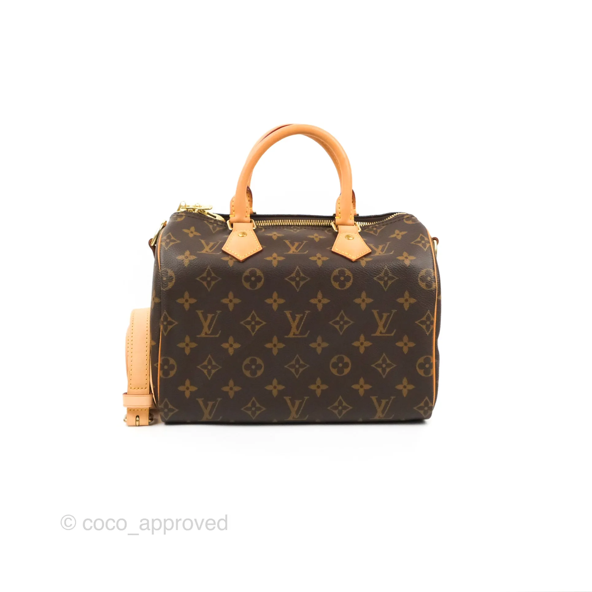 Louis Vuitton Speedy 25 Monogram Canvas