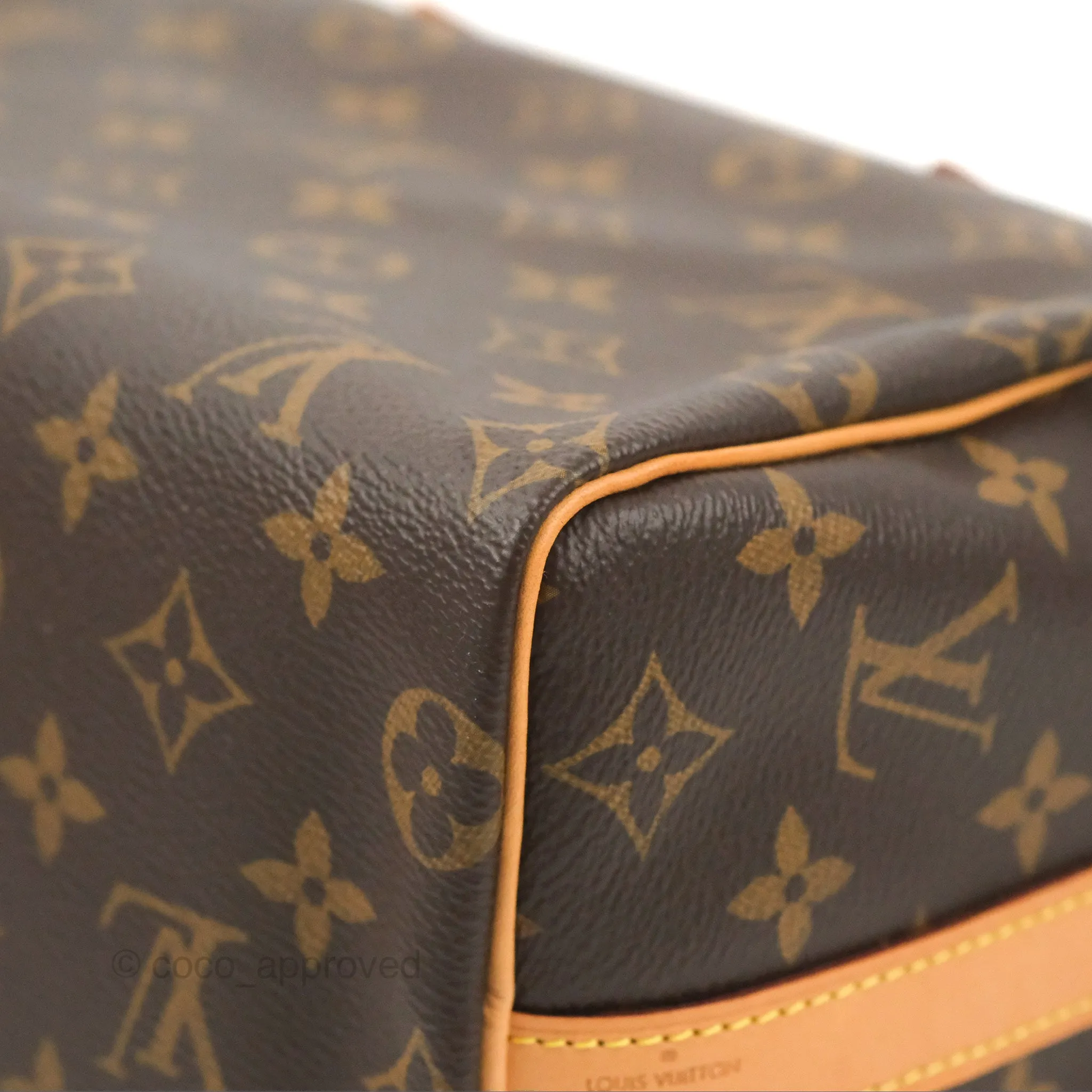 Louis Vuitton Speedy 25 Monogram Canvas