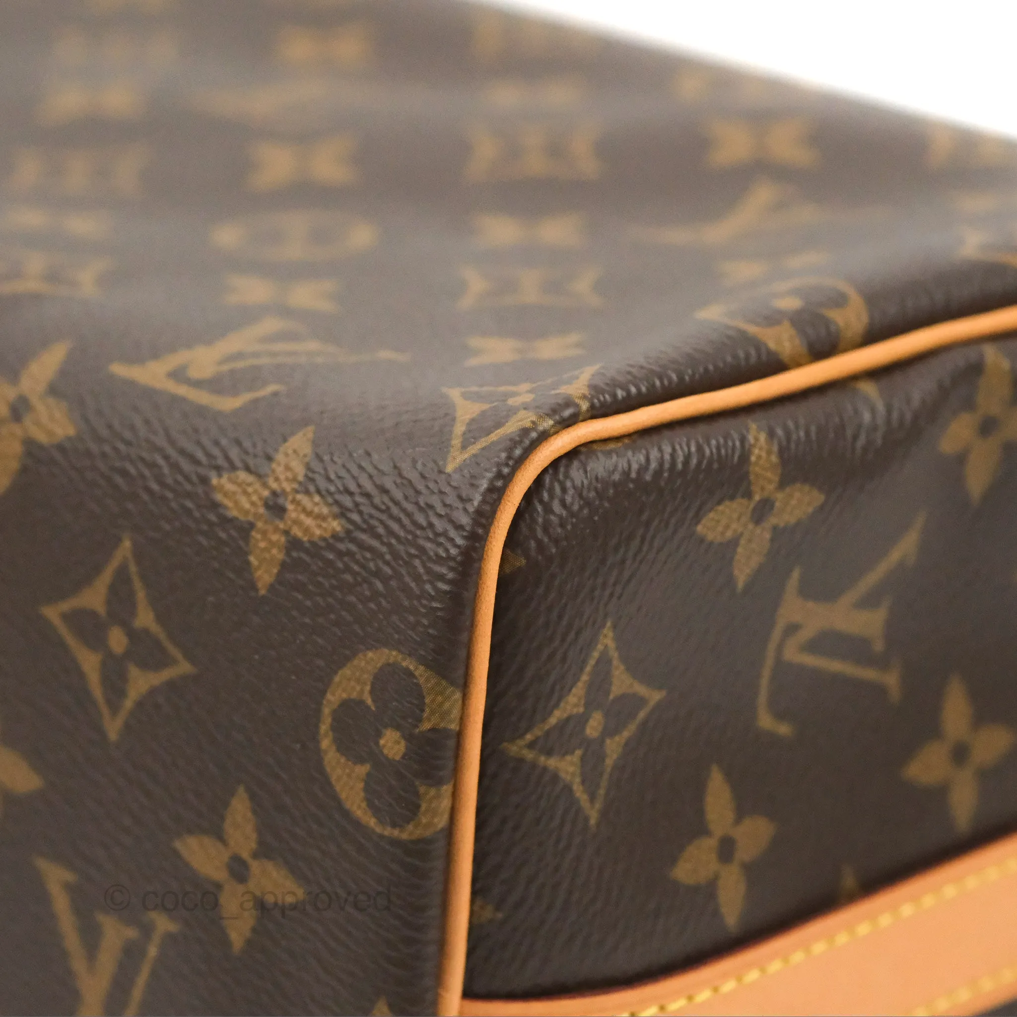 Louis Vuitton Speedy 25 Monogram Canvas
