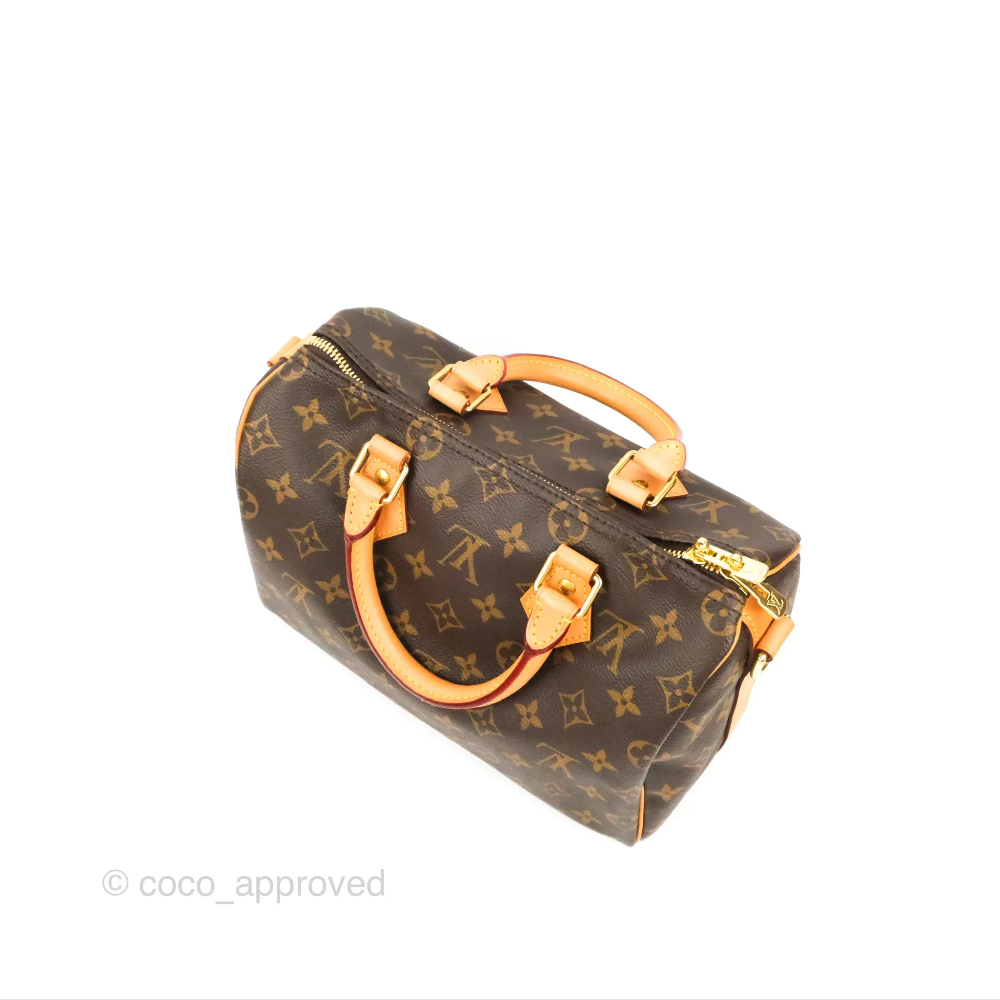 Louis Vuitton Speedy 25 Monogram Canvas
