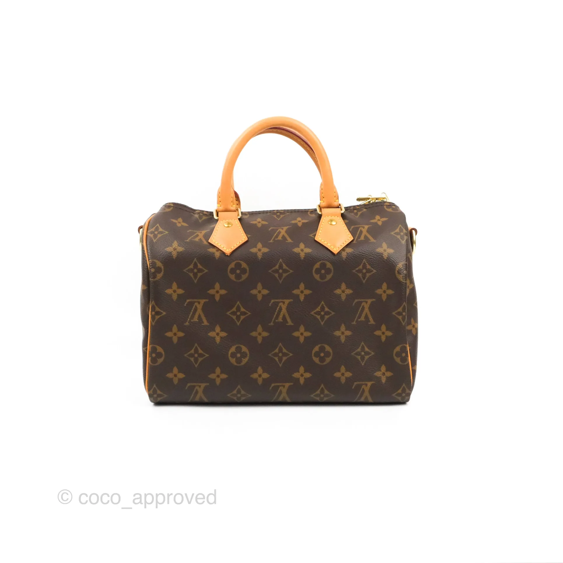 Louis Vuitton Speedy 25 Monogram Canvas