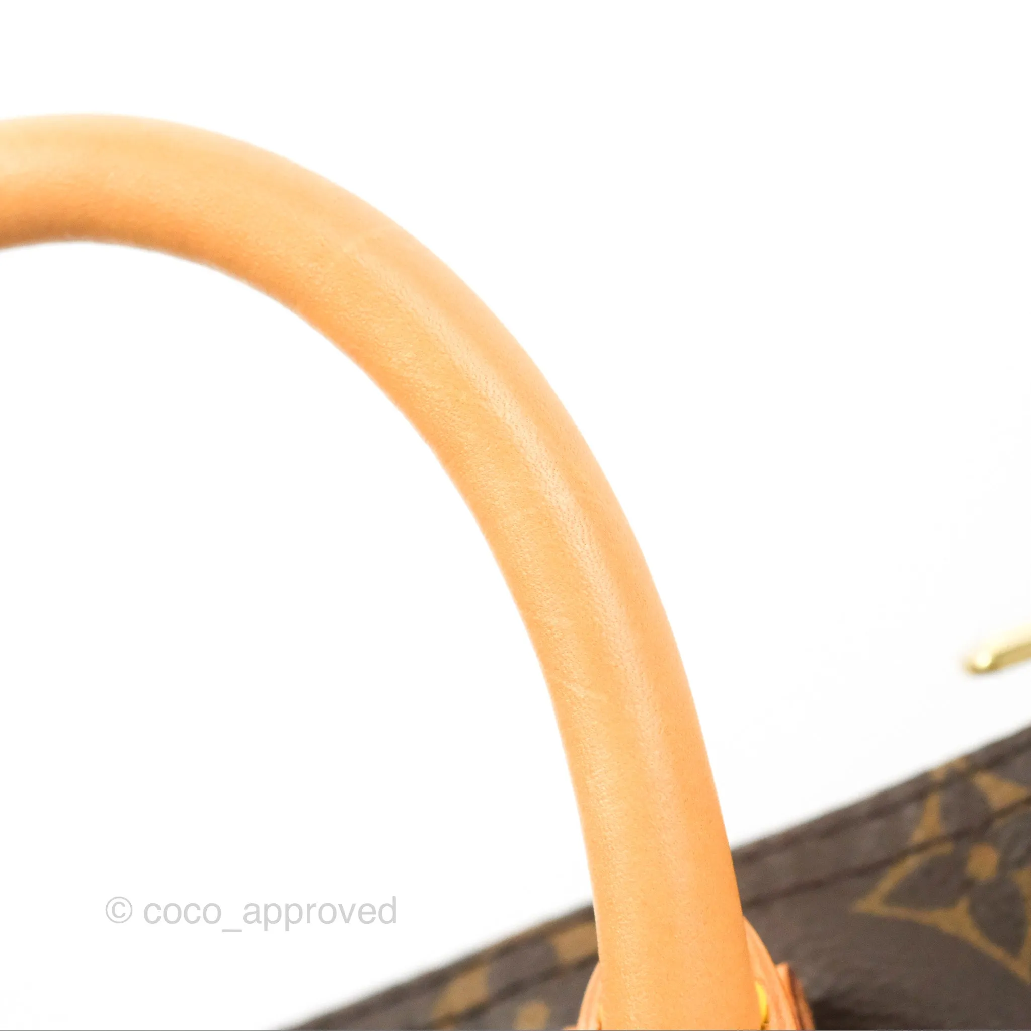 Louis Vuitton Speedy 25 Monogram Canvas